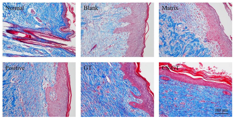 Marinedrugs 18 00233 g007