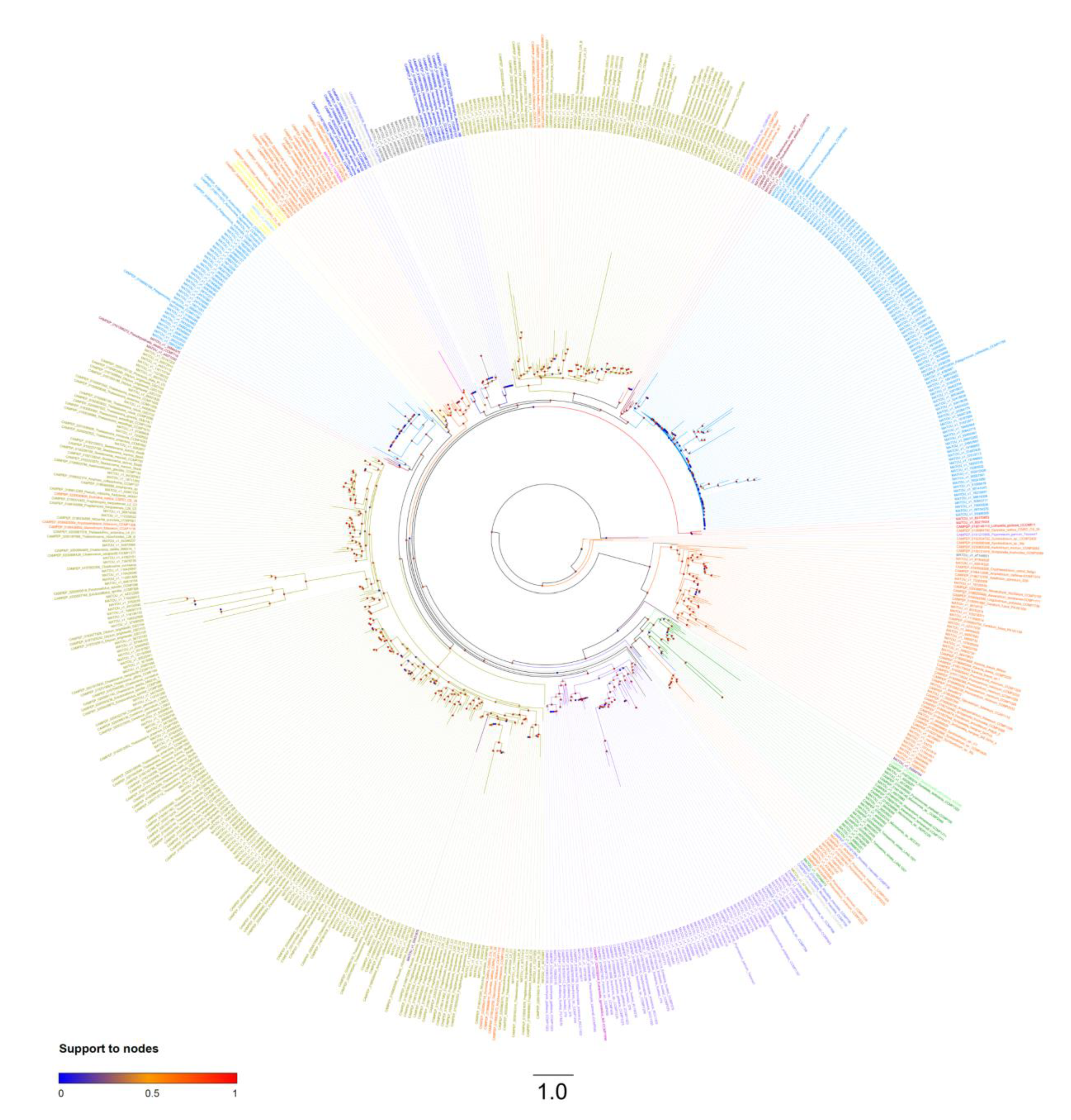 Marinedrugs 18 00237 g003