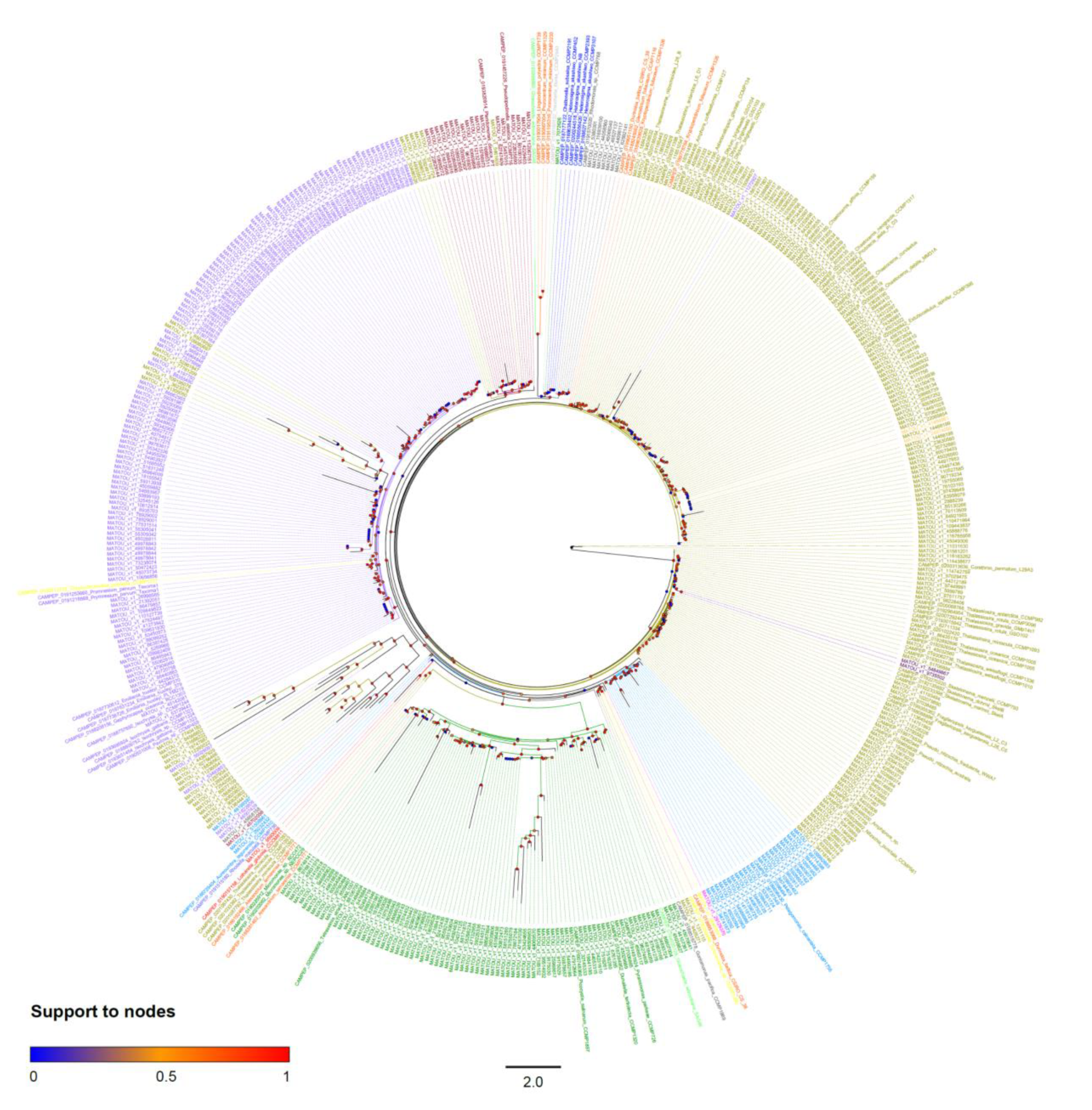 Marinedrugs 18 00237 g004