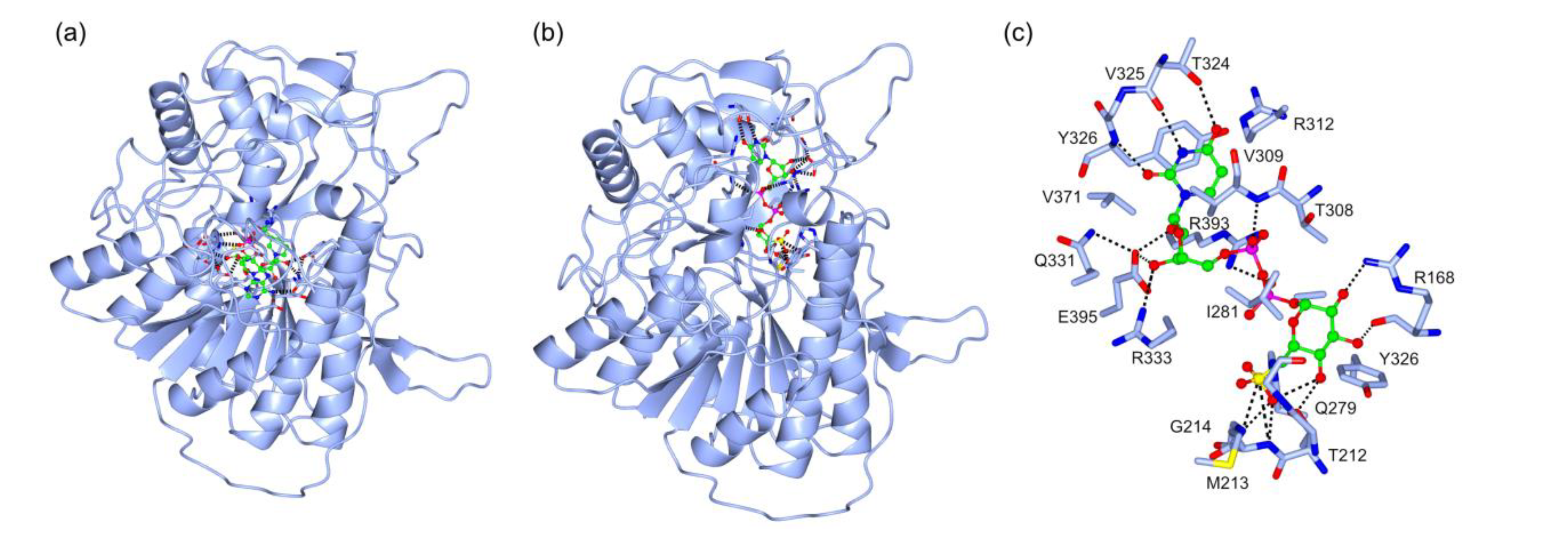 Marinedrugs 18 00237 g008