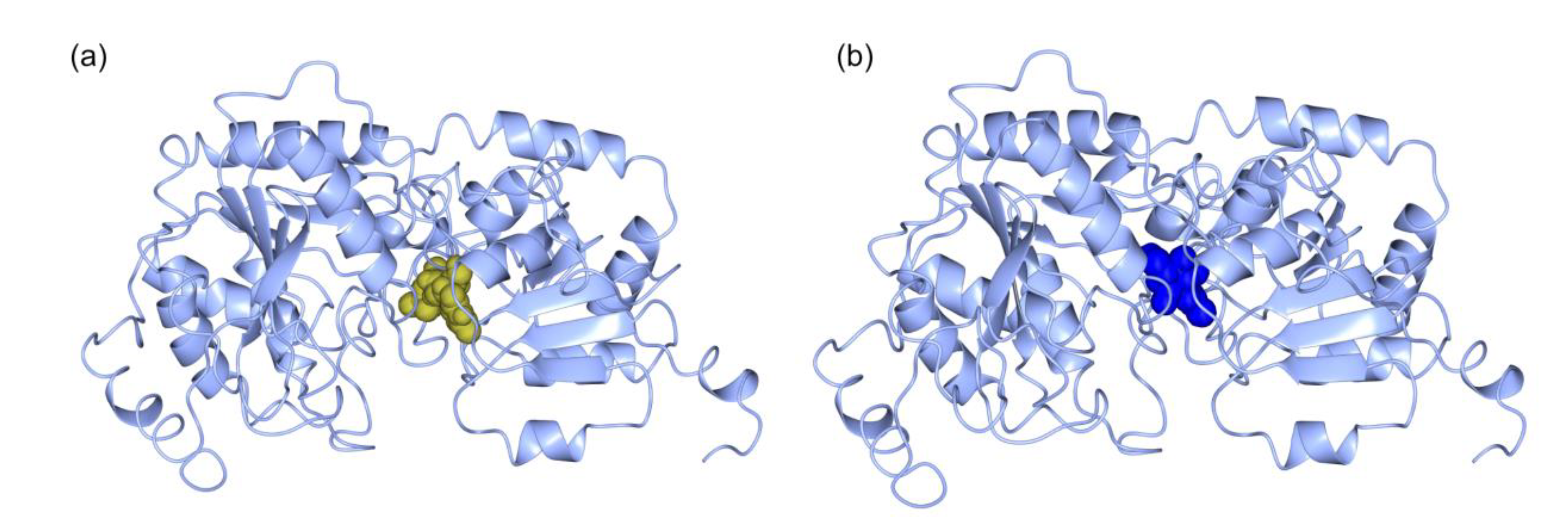 Marinedrugs 18 00237 g009