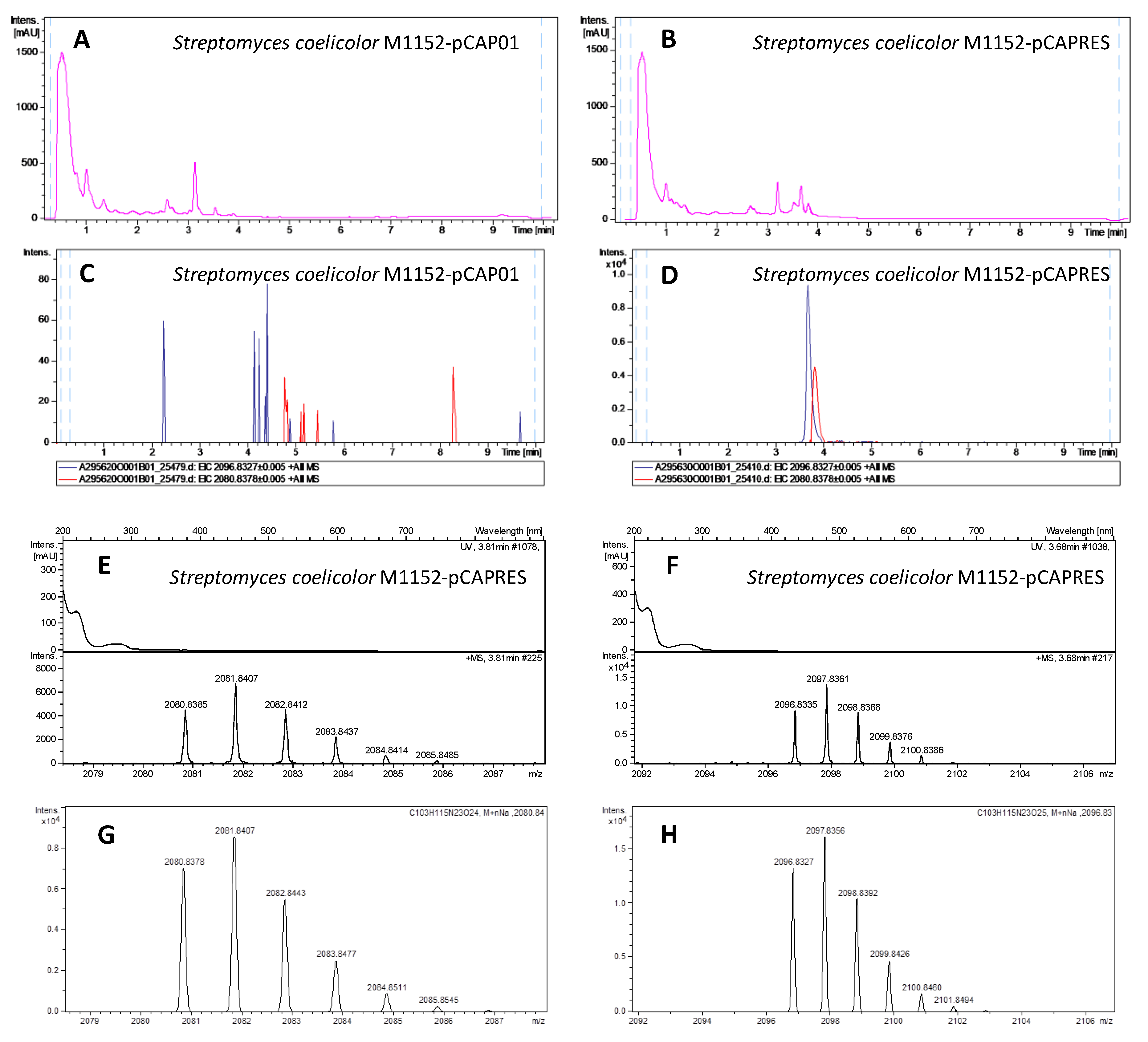 Marinedrugs 18 00238 g004 Marinedrugs 18 00238 g004