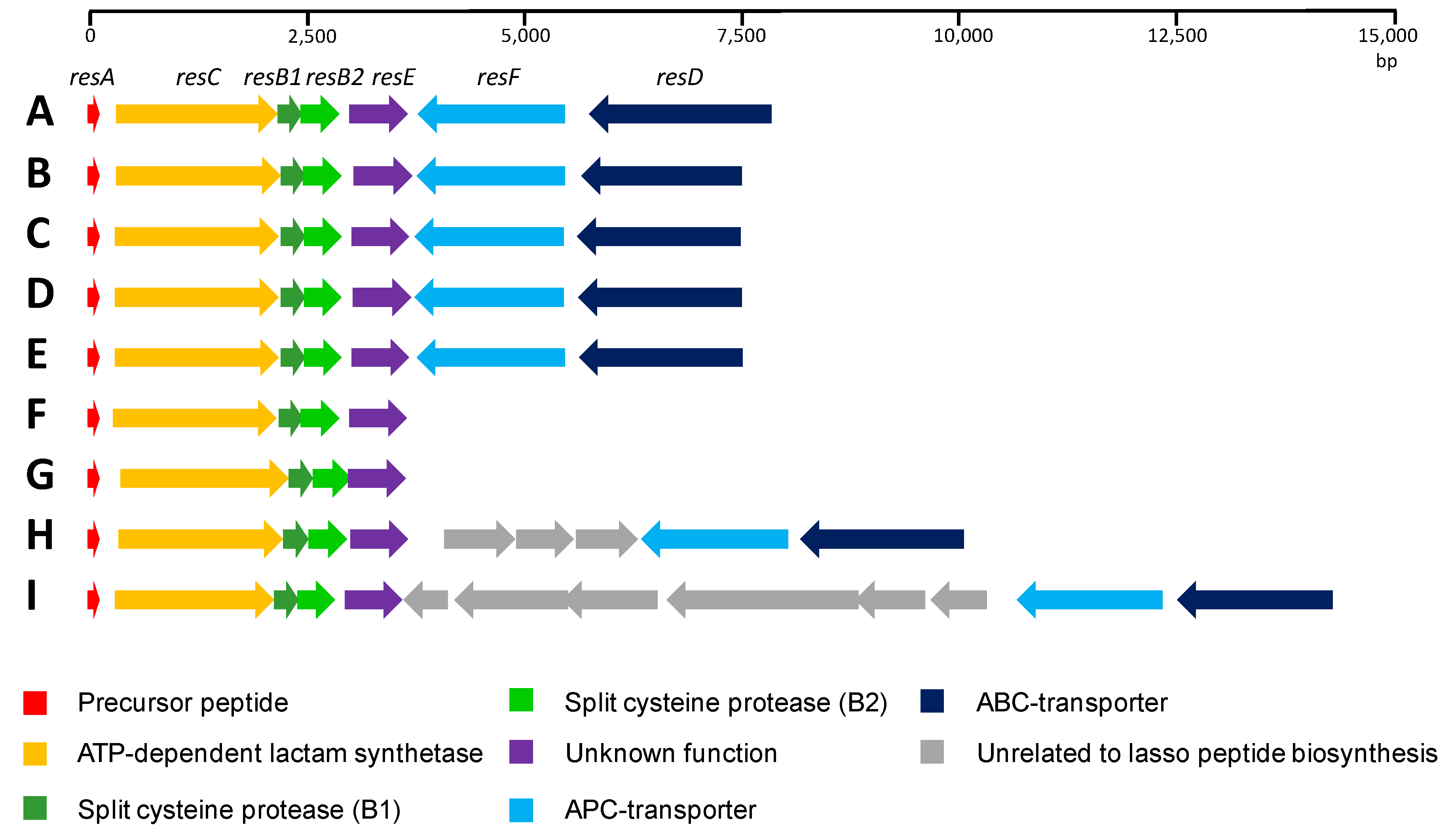 Marinedrugs 18 00238 g005 Marinedrugs 18 00238 g005