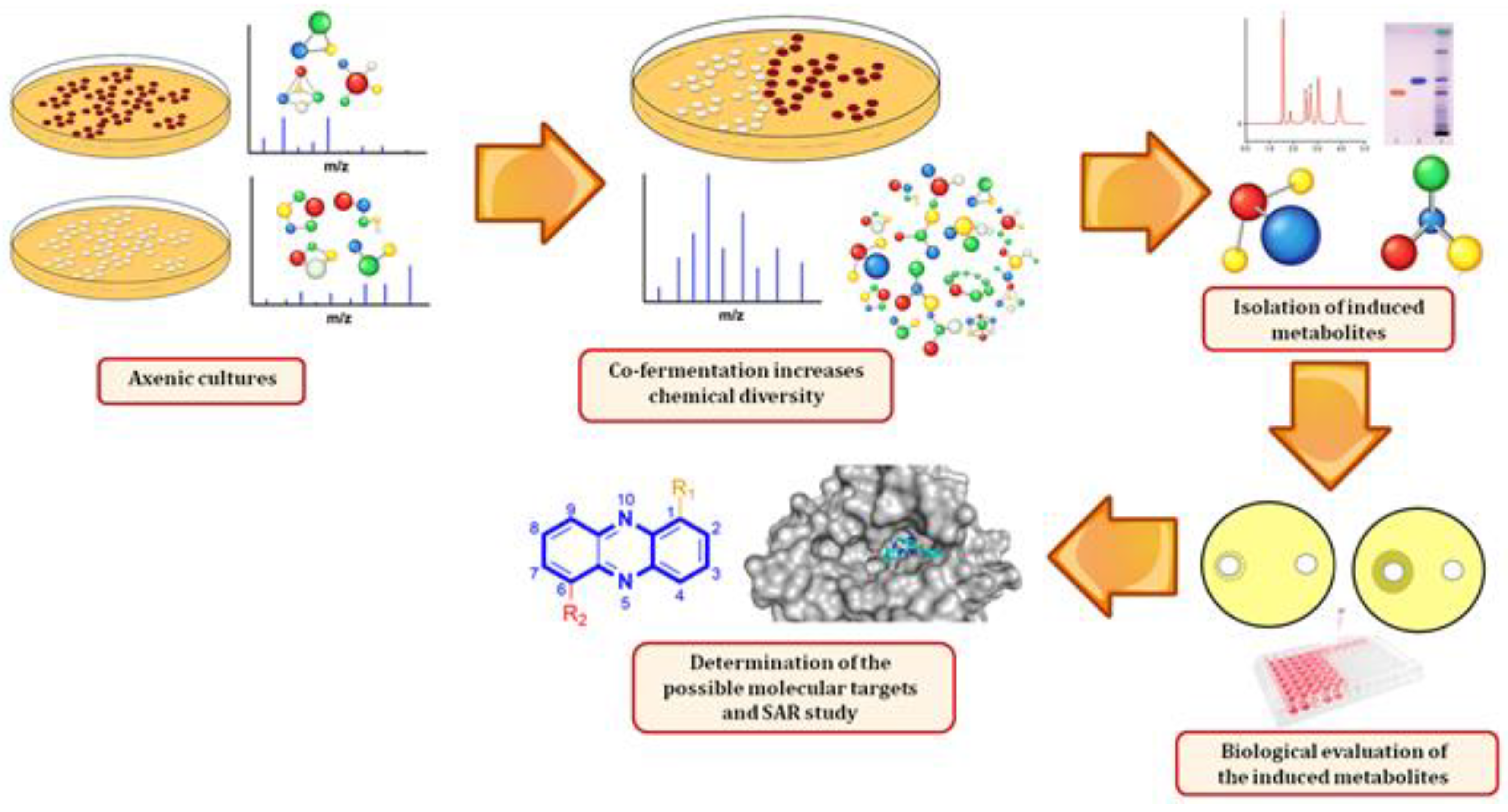 Marinedrugs 18 00243 g001 Marinedrugs 18 00243 g001