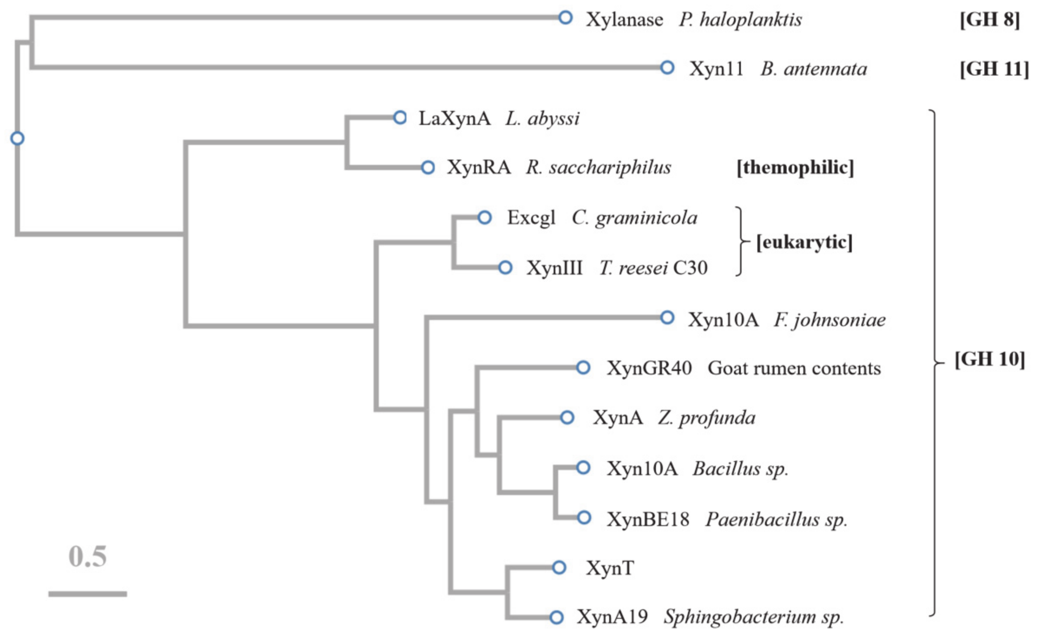 Marinedrugs 18 00245 g007 Marinedrugs 18 00245 g007