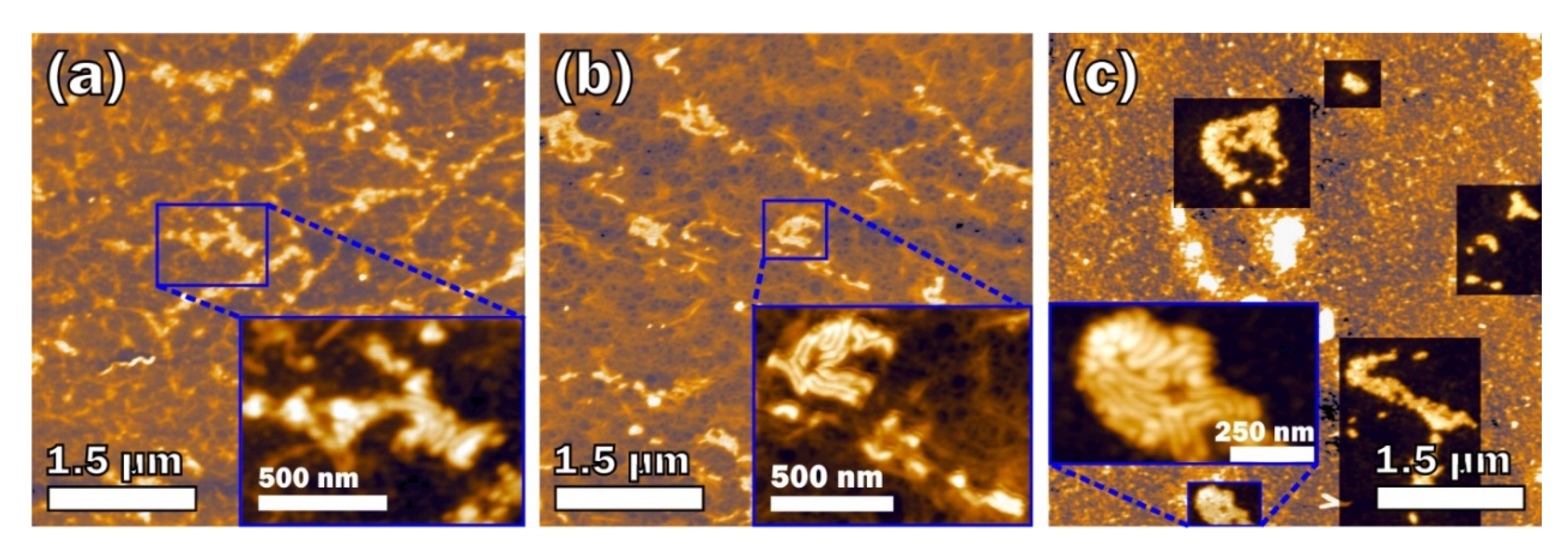 Marinedrugs 18 00248 g002 Marinedrugs 18 00248 g002