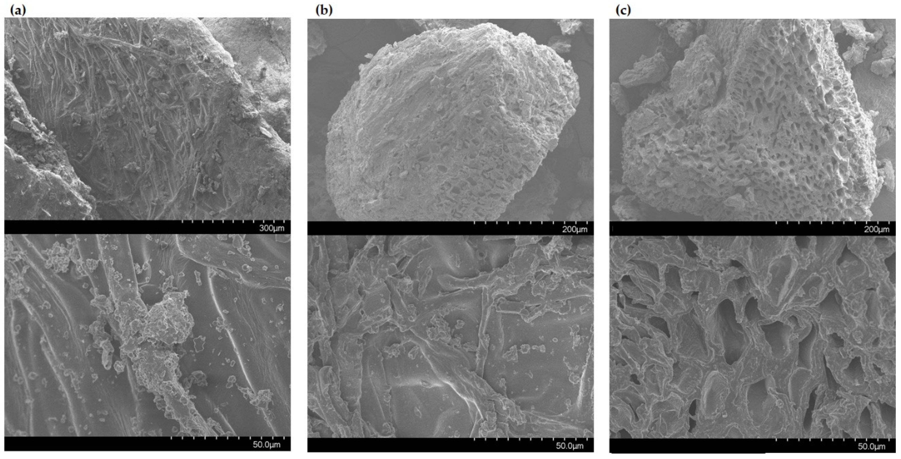 Marinedrugs 18 00250 g002 Marinedrugs 18 00250 g002