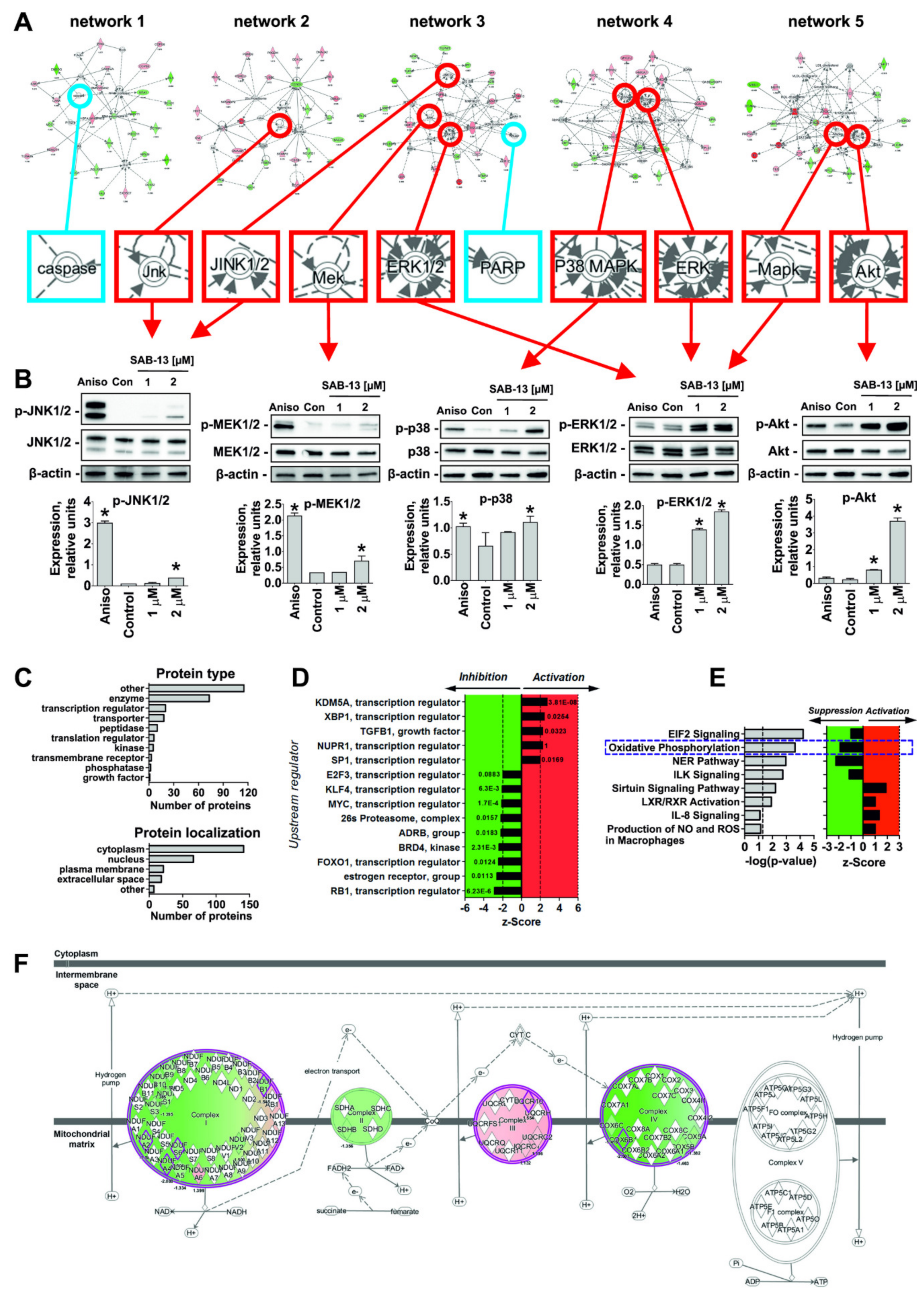 Marinedrugs 18 00251 g005