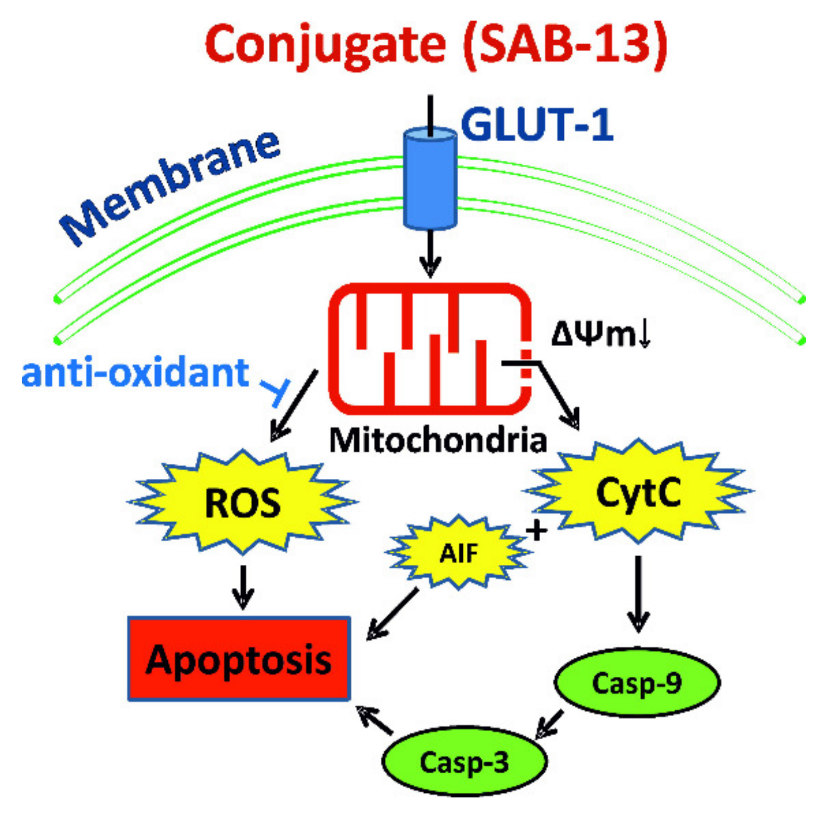 Marinedrugs 18 00251 g008