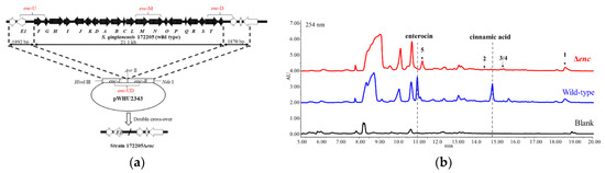 you  Bioactive Molecules from Mangrove Streptomyces qinglanensis