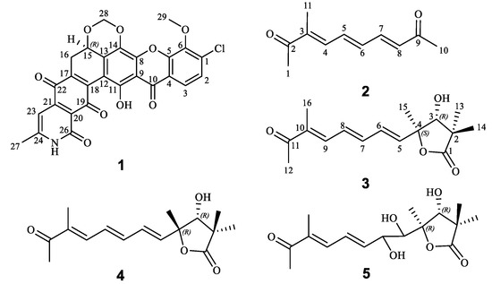 you  Bioactive Molecules from Mangrove Streptomyces qinglanensis