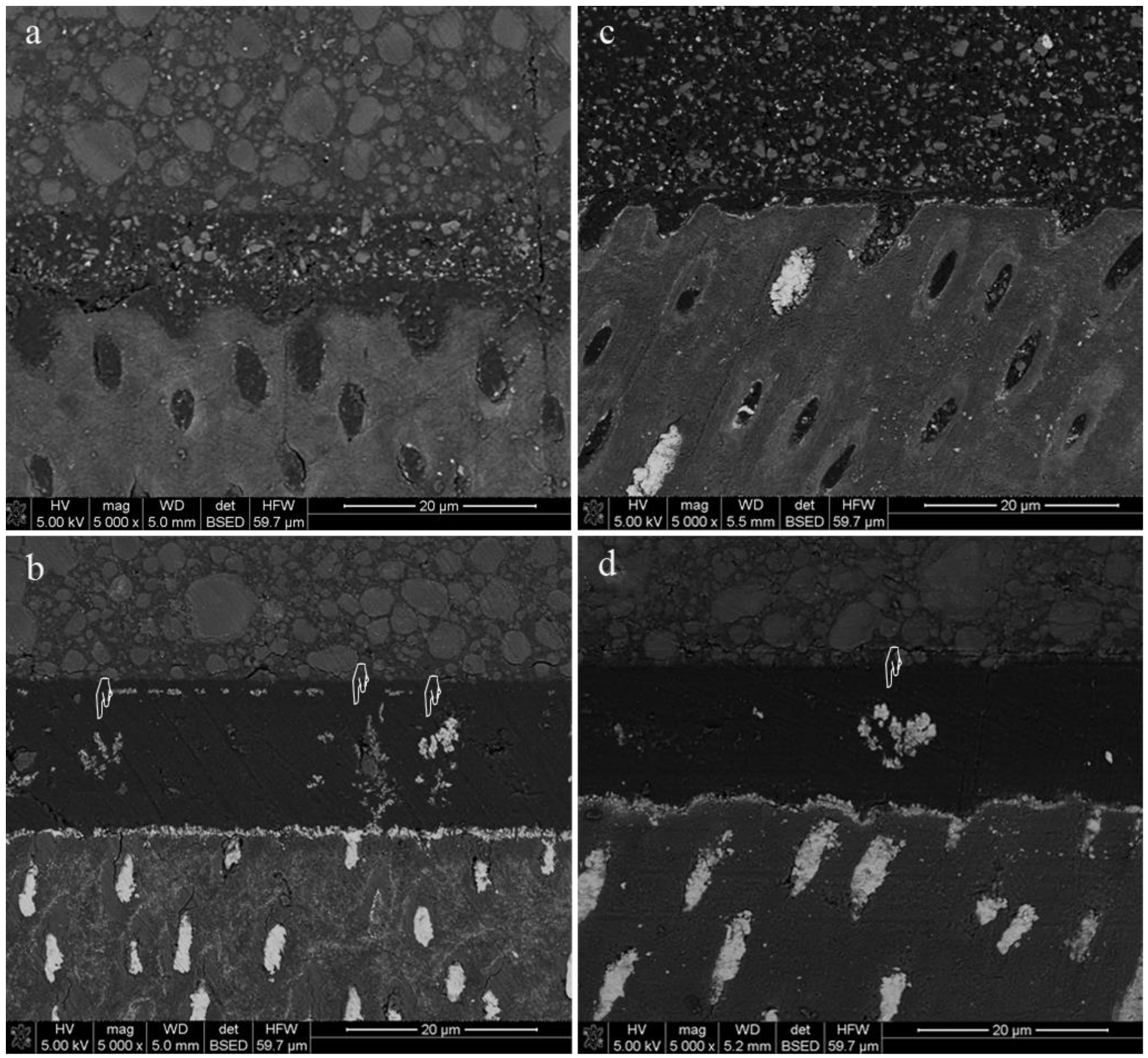 Marinedrugs 18 00263 g002 Marinedrugs 18 00263 g002