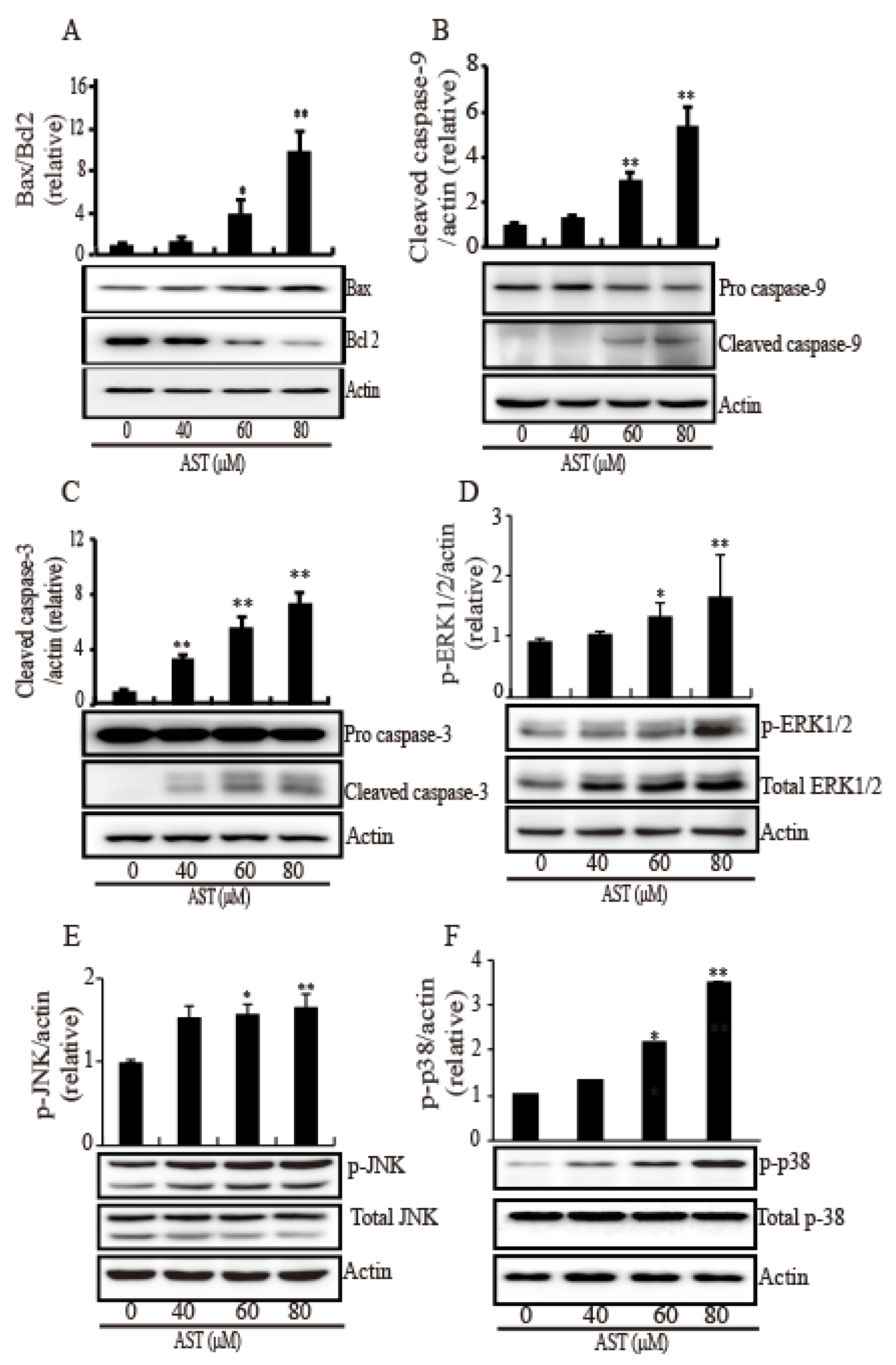Marinedrugs 18 00266 g004