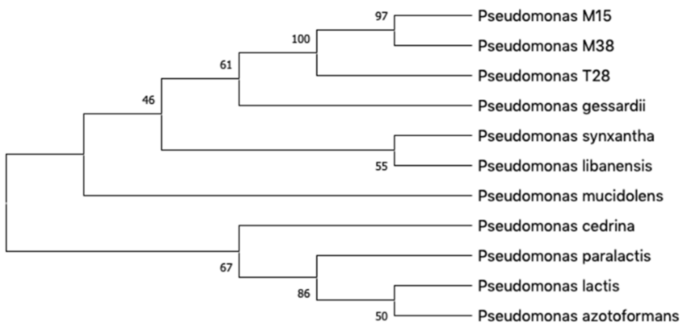 Marinedrugs 18 00269 g002