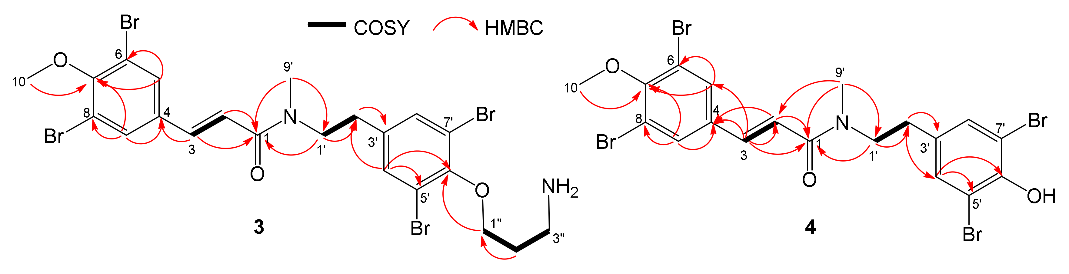 Marinedrugs 18 00272 g004