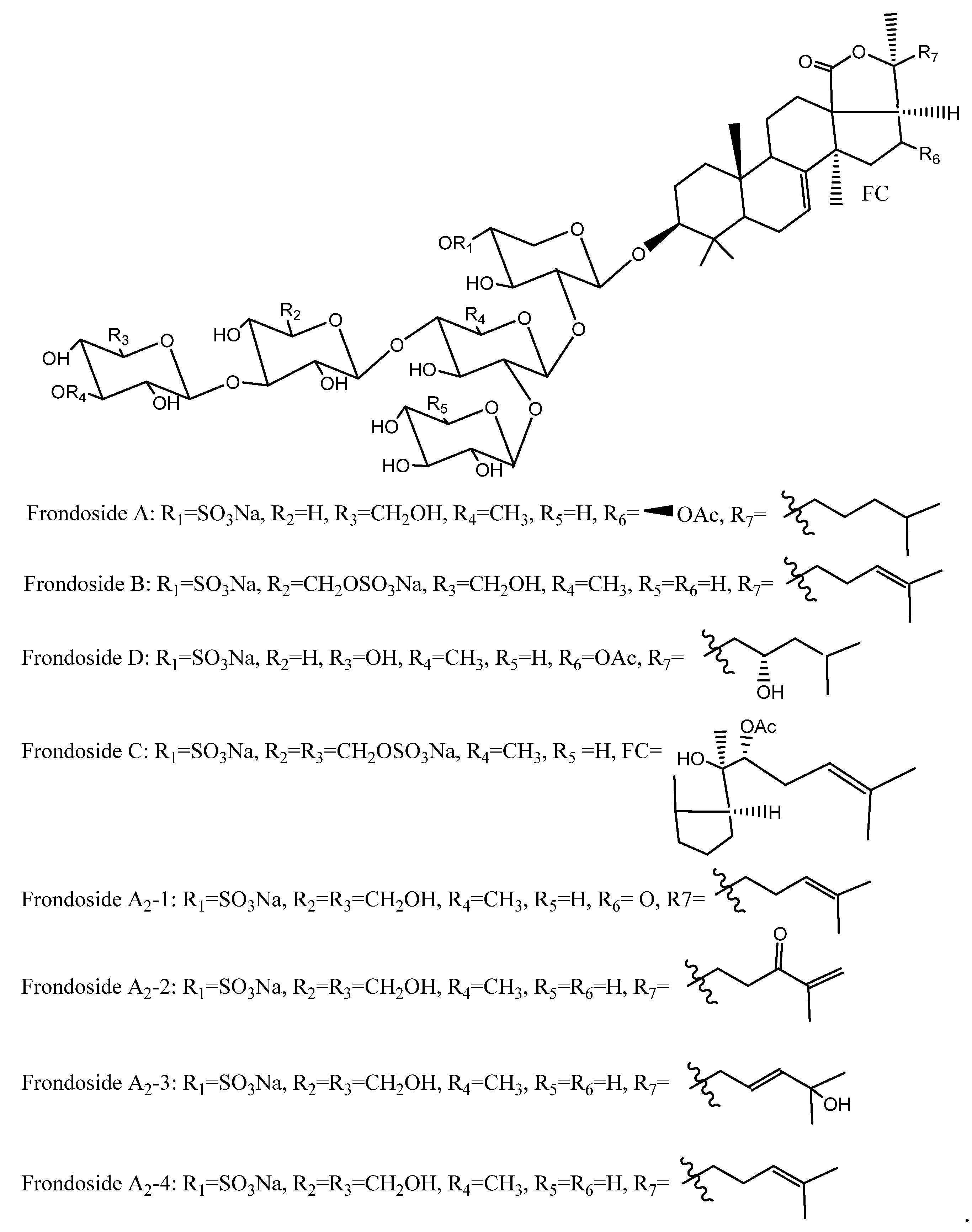 Marine Drugs Free Full Text Northern Sea Cucumber Cucumaria Frondosa A Potential Candidate For Functional Food Nutraceutical And Pharmaceutical Sector Html Marine Drugs Free Full Text Northern Sea Cucumber Cucumaria Frondosa A Potential Candidate For Functional Food Nutraceutical And Pharmaceutical Sector Html