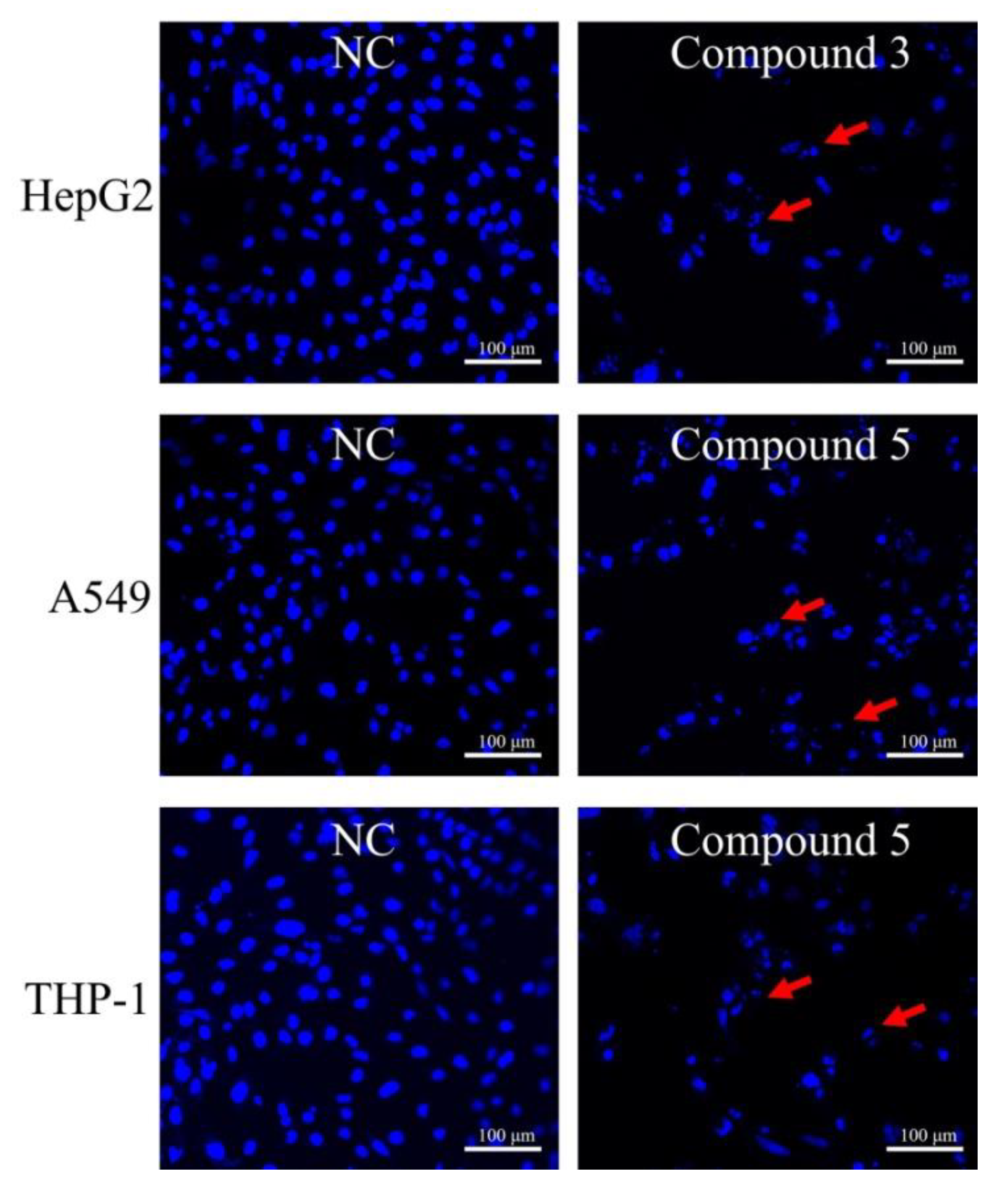Marinedrugs 18 00276 g005 Marinedrugs 18 00276 g005