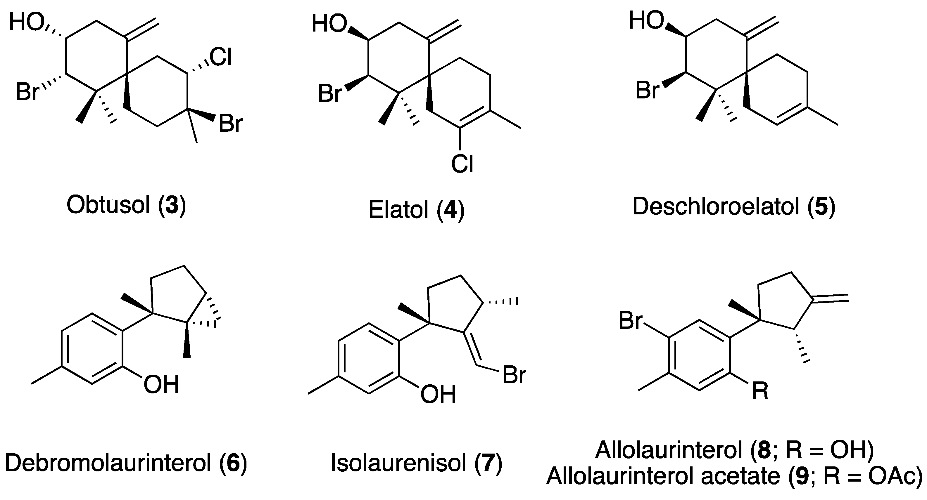 Marinedrugs 18 00287 g002