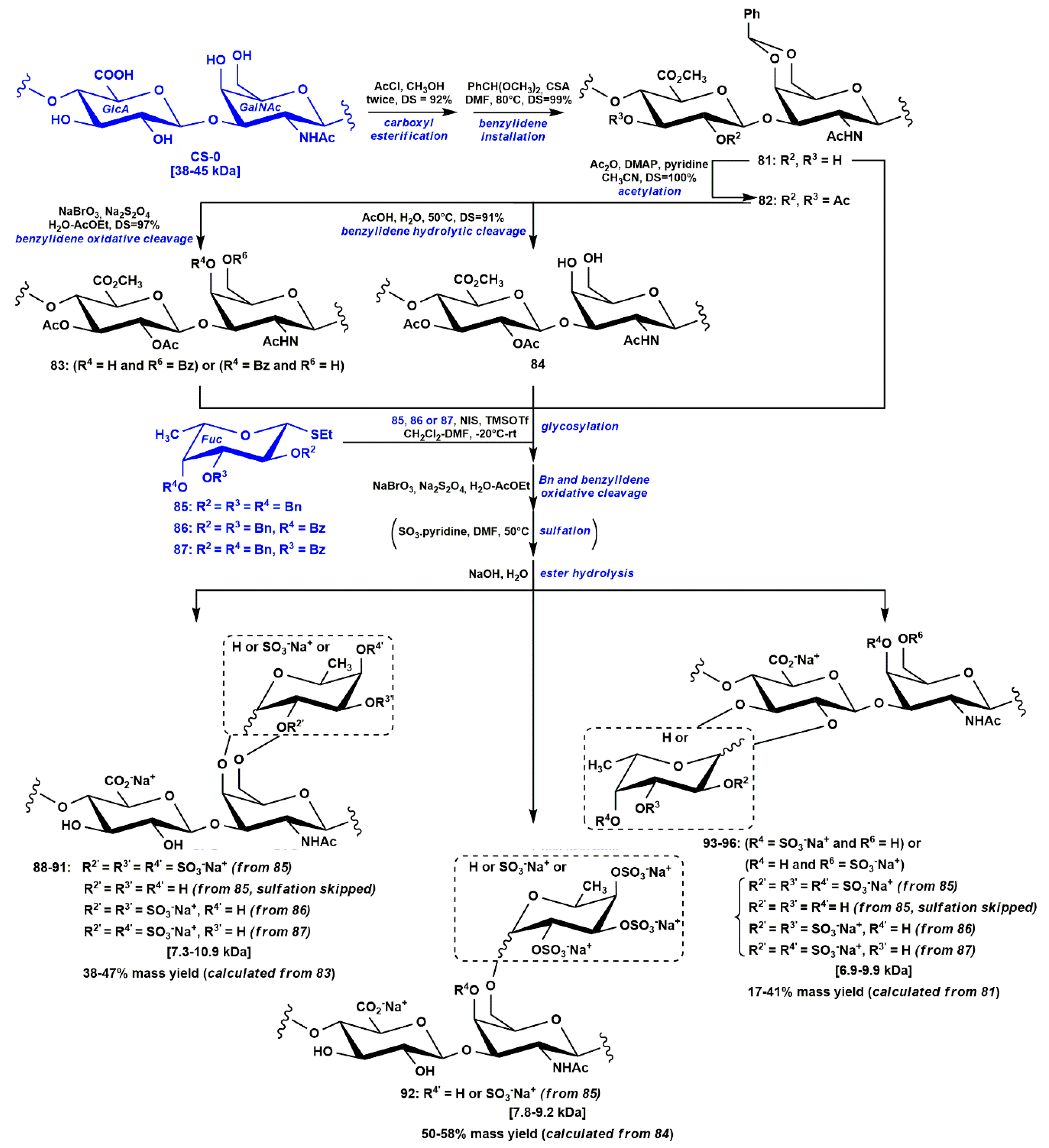 Marinedrugs 18 00293 sch008 Marinedrugs 18 00293 sch008