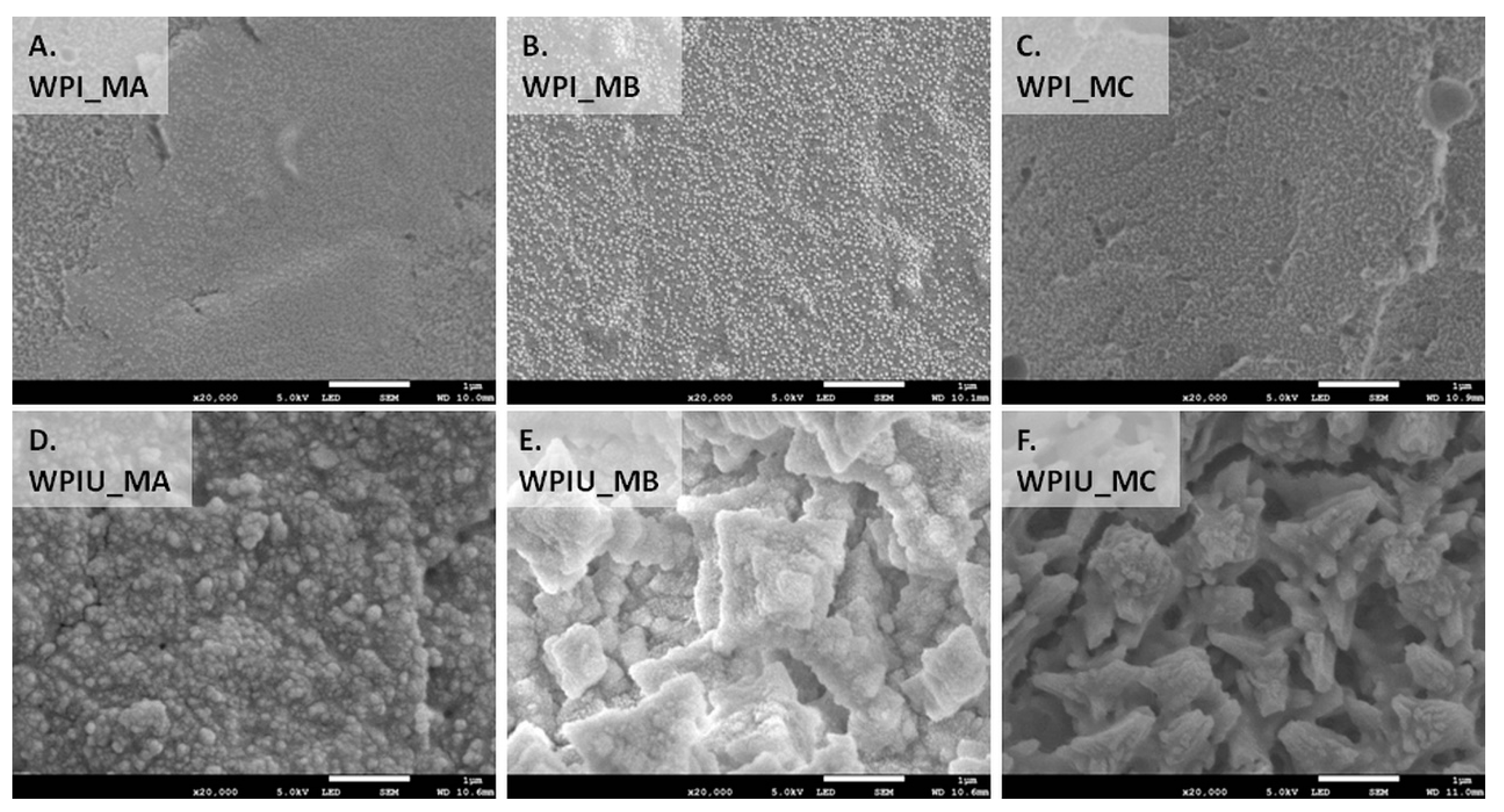 Marinedrugs 18 00294 g004 Marinedrugs 18 00294 g004