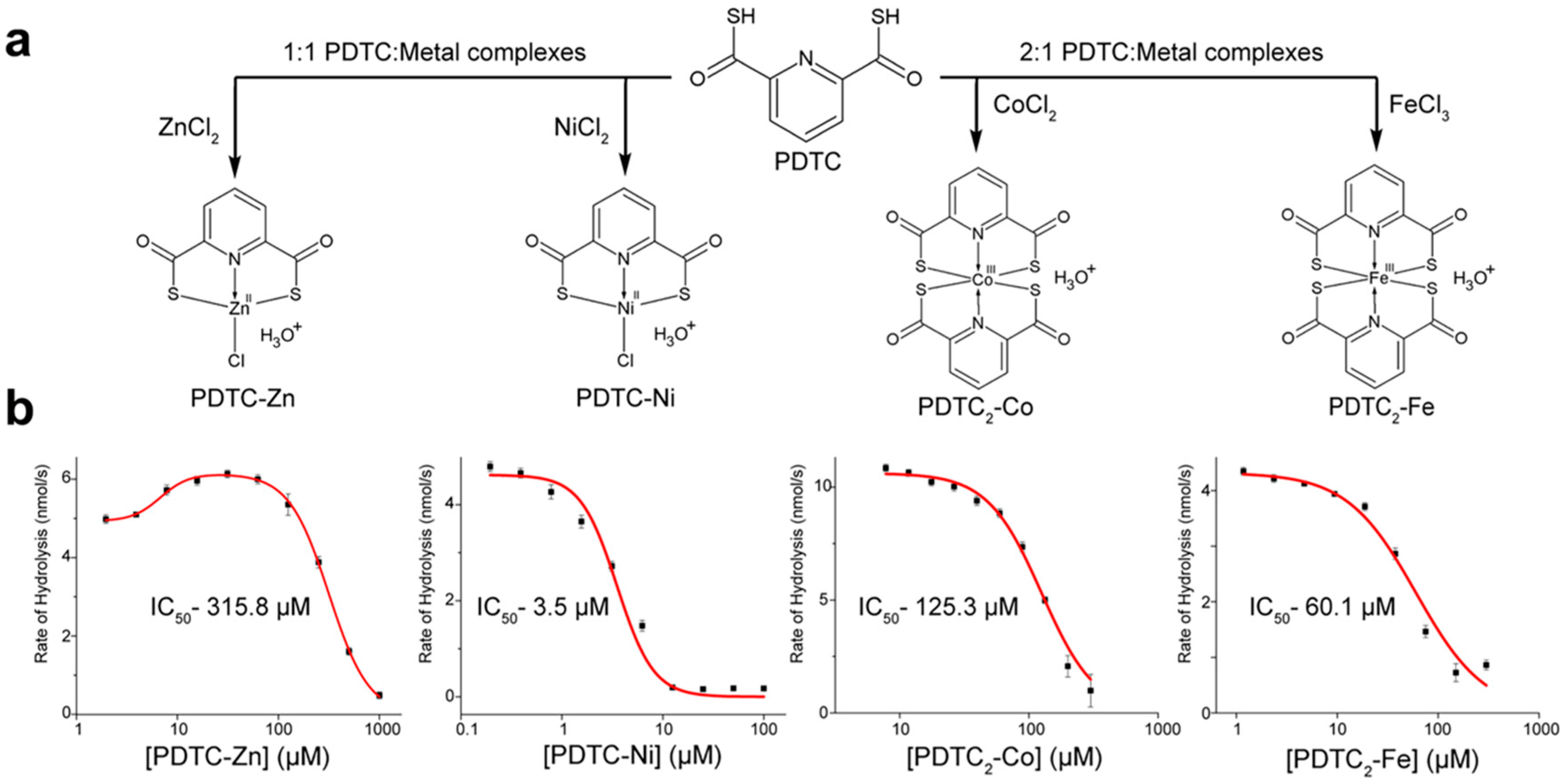 Marinedrugs 18 00295 g005 Marinedrugs 18 00295 g005