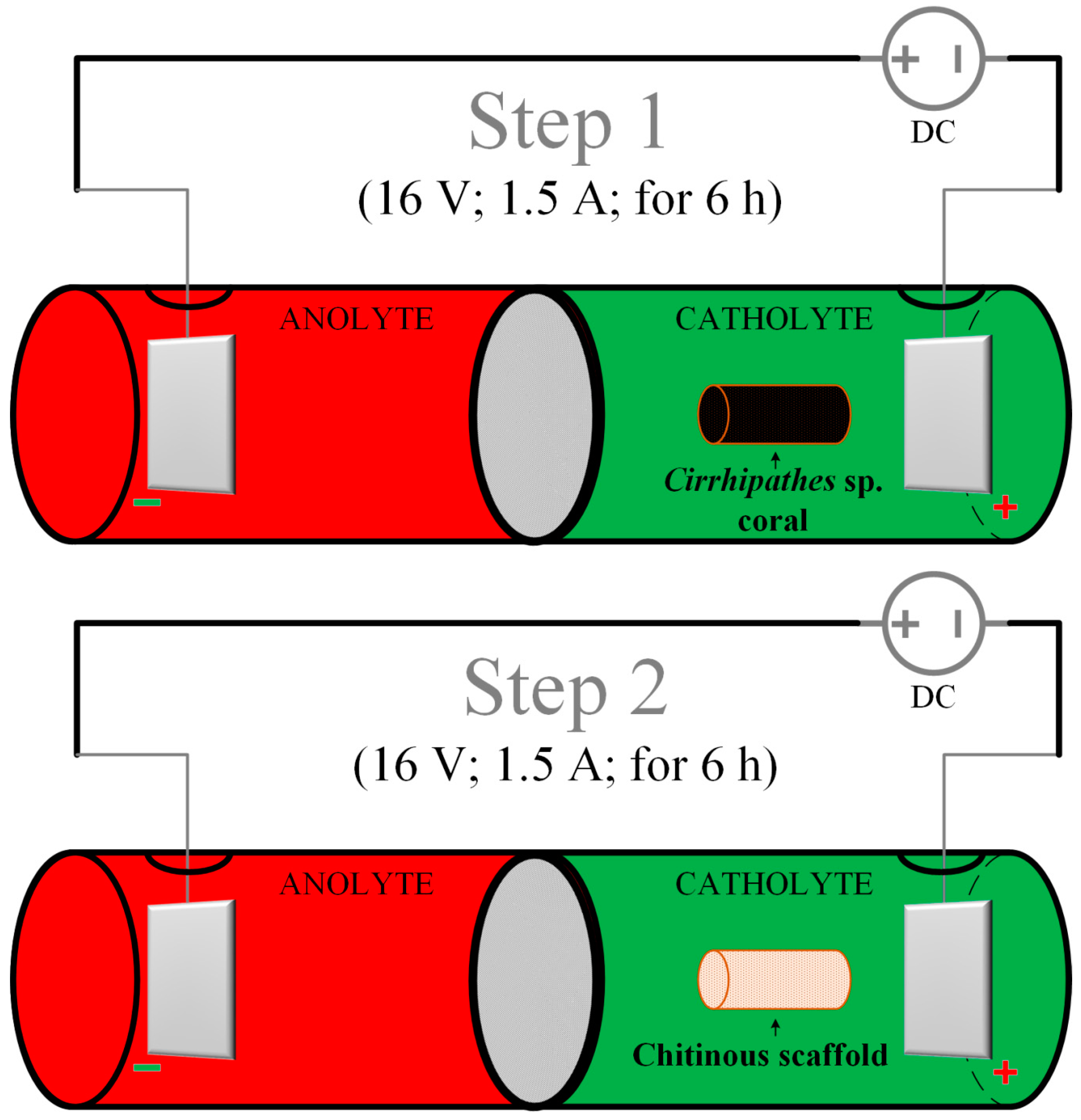 Marinedrugs 18 00297 g012 Marinedrugs 18 00297 g012