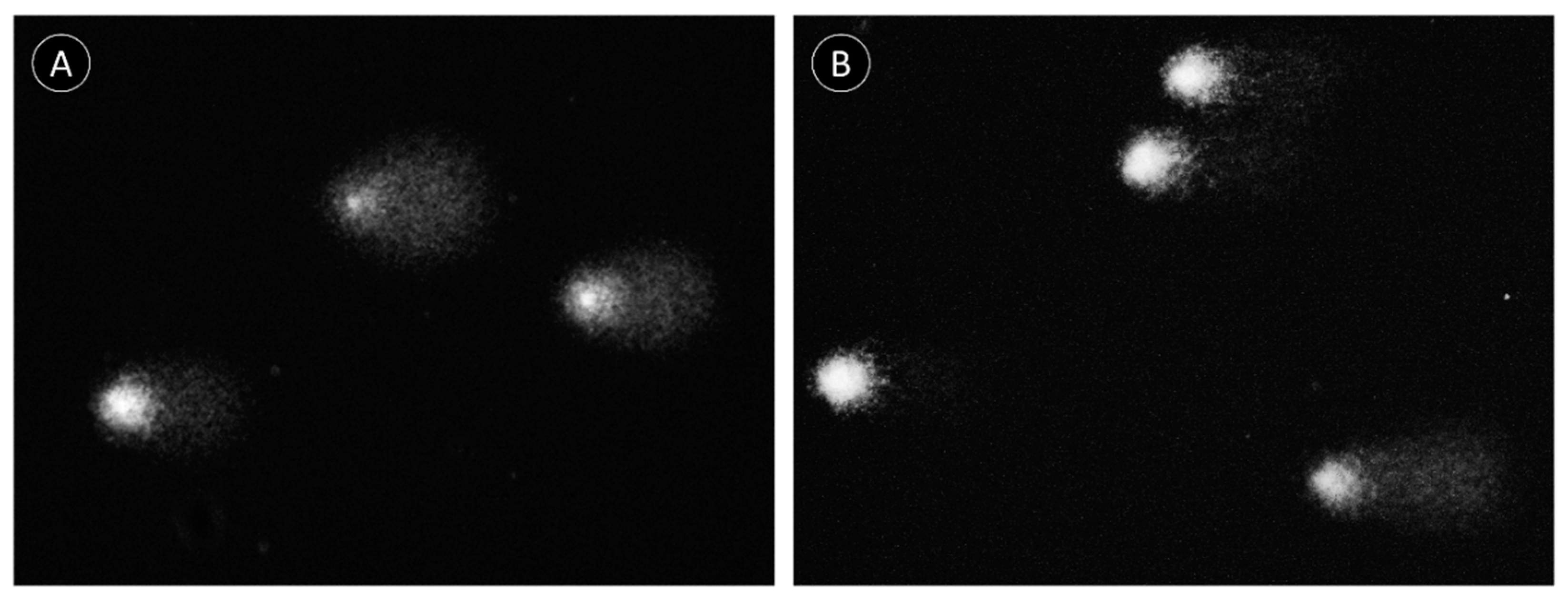 Marinedrugs 18 00302 g007 Marinedrugs 18 00302 g007