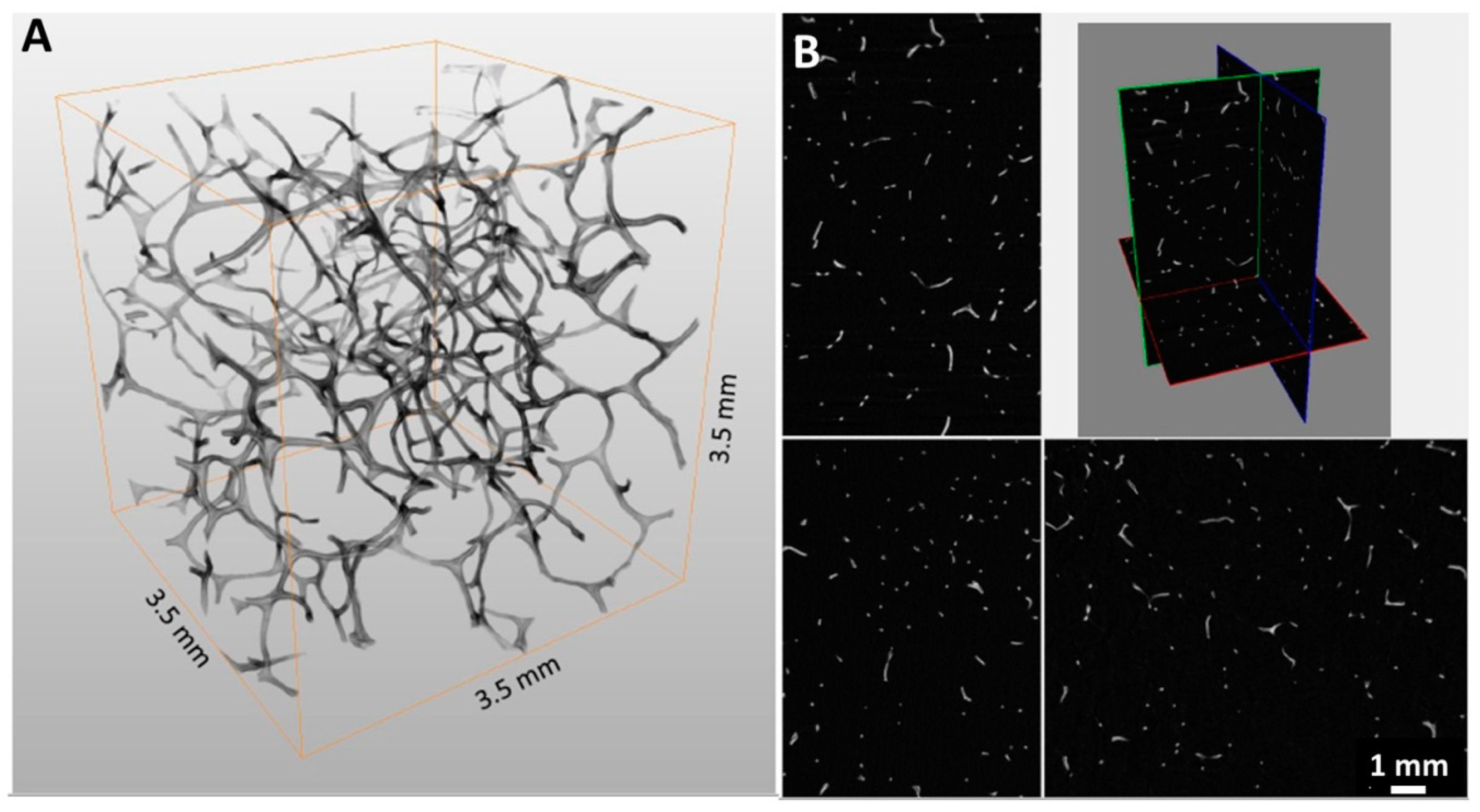 Marinedrugs 18 00304 g002 Marinedrugs 18 00304 g002