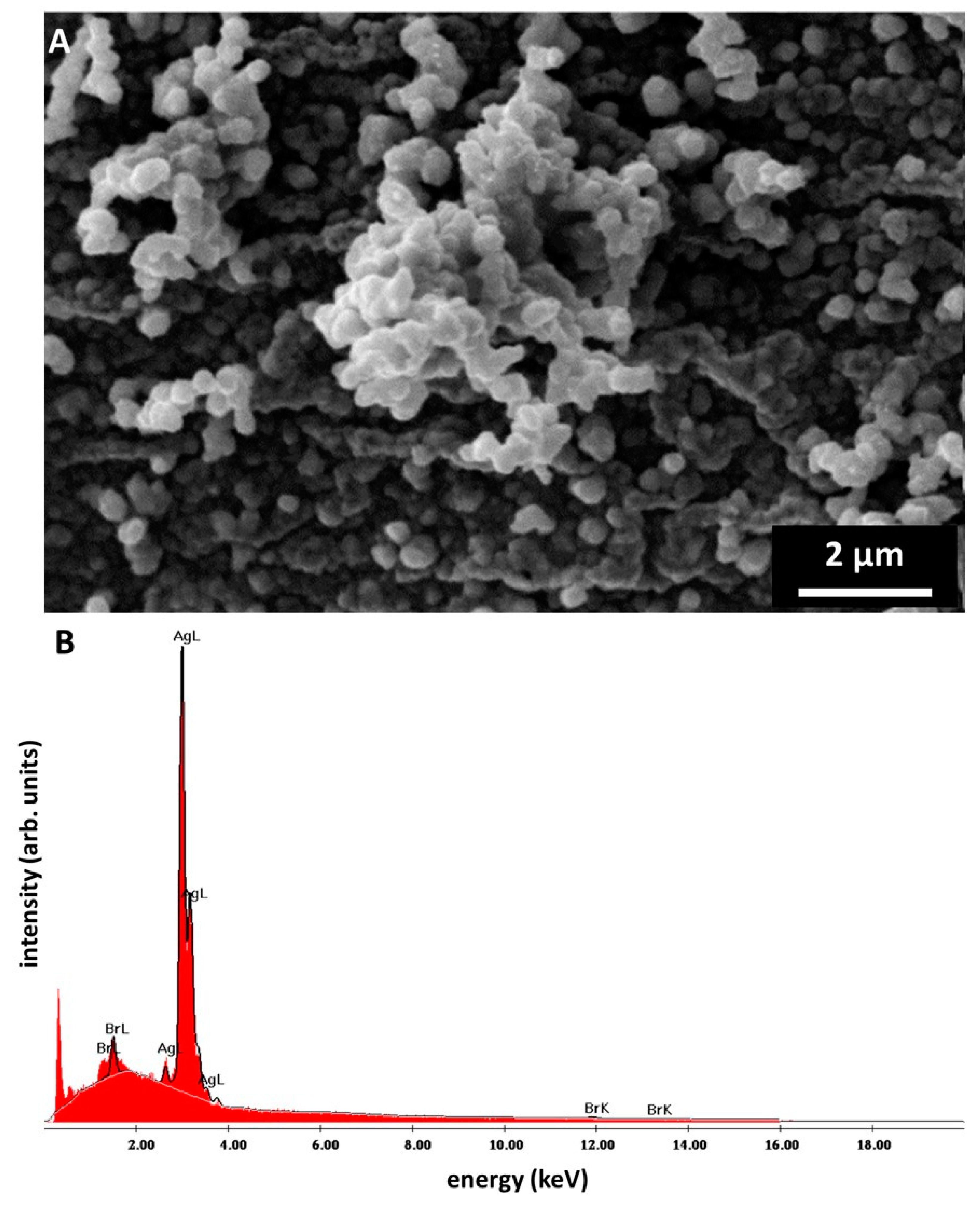 Marinedrugs 18 00304 g004 Marinedrugs 18 00304 g004