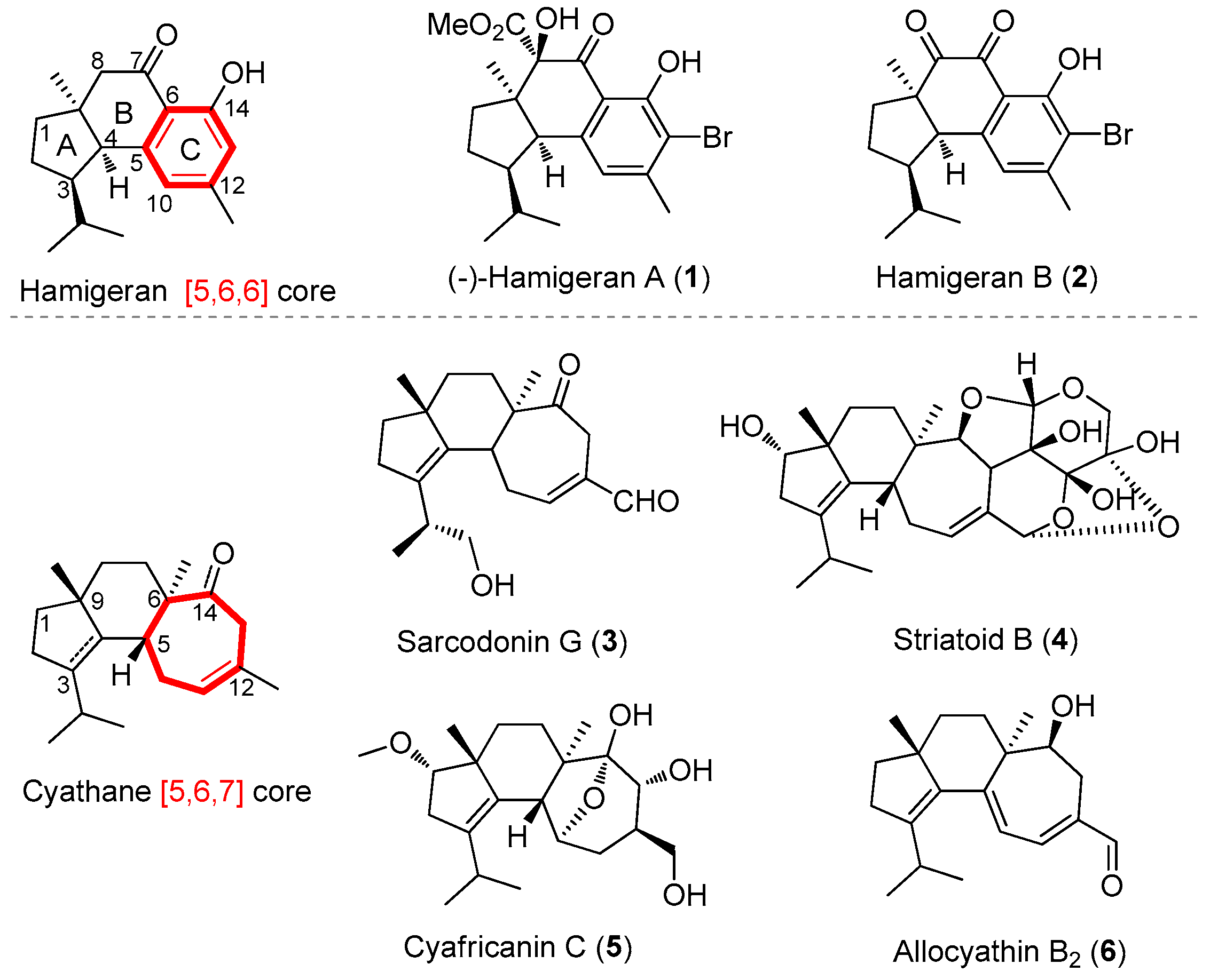 Marinedrugs 18 00306 g001