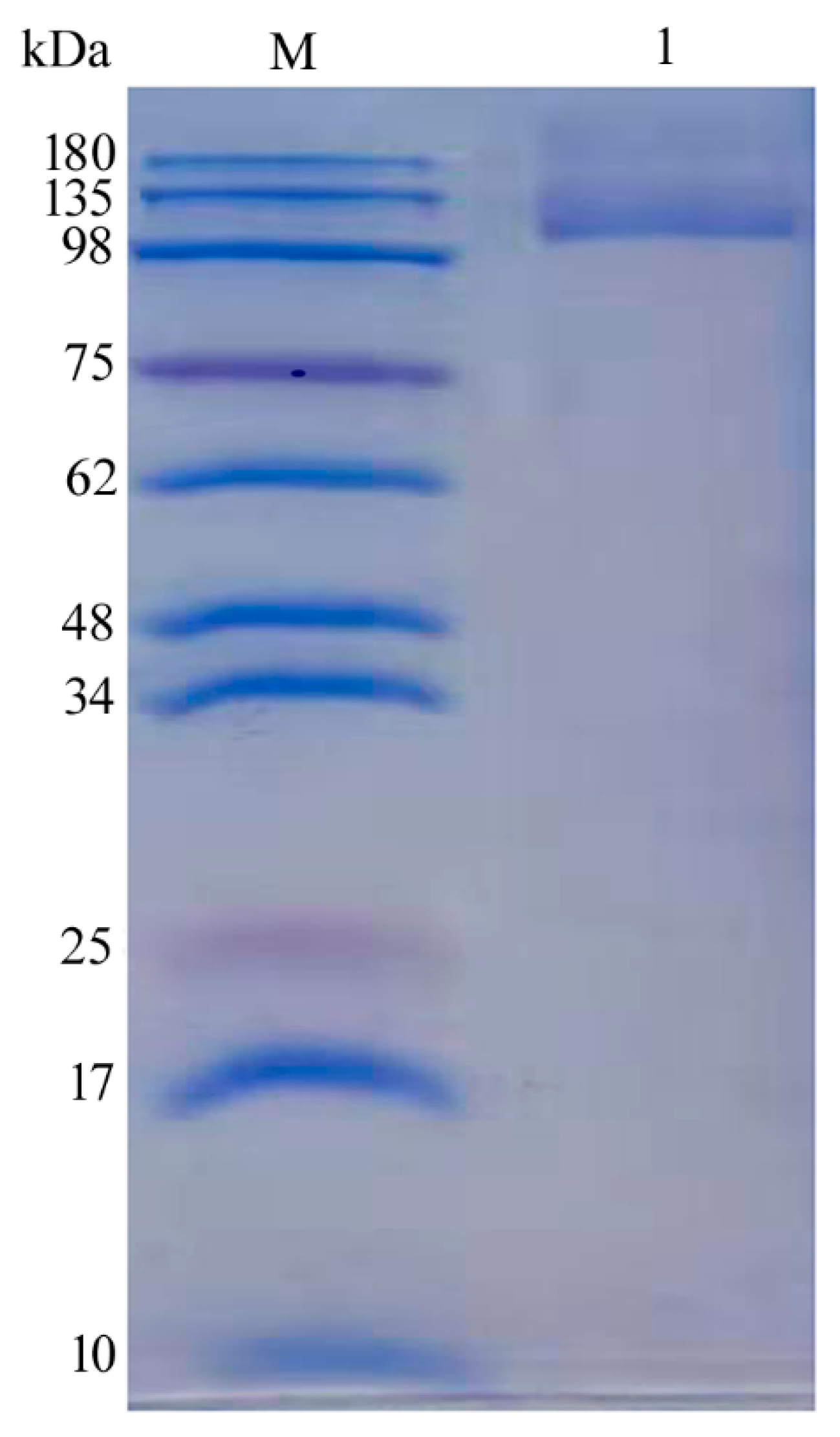 Marinedrugs 18 00312 g003