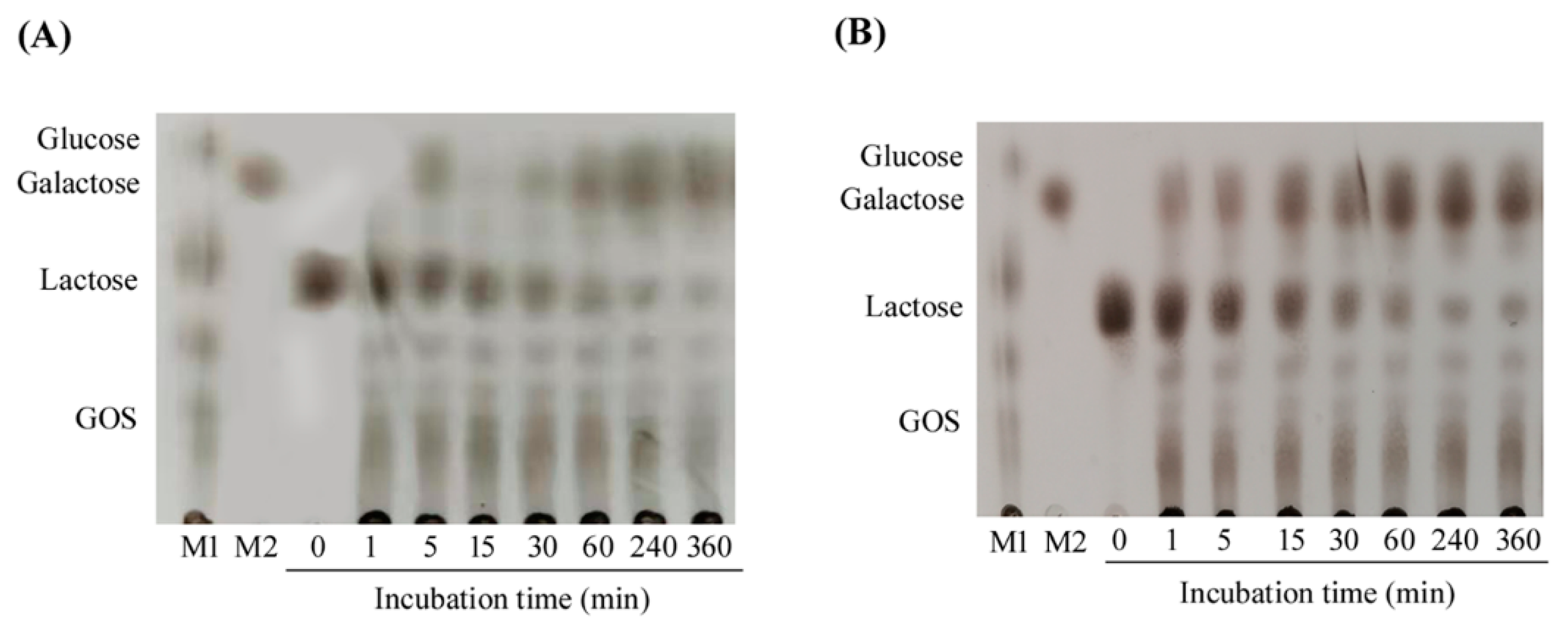 Marinedrugs 18 00312 g005