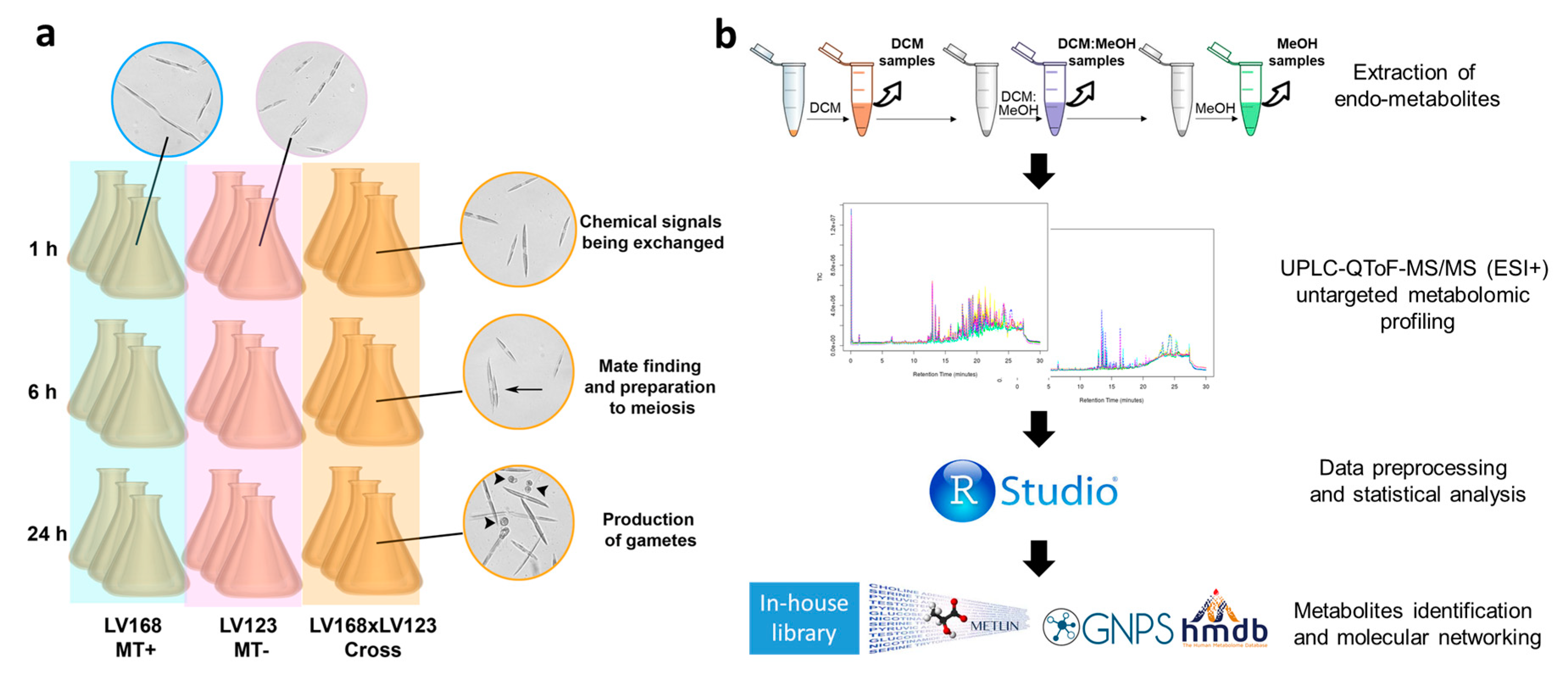 Marinedrugs 18 00313 g001