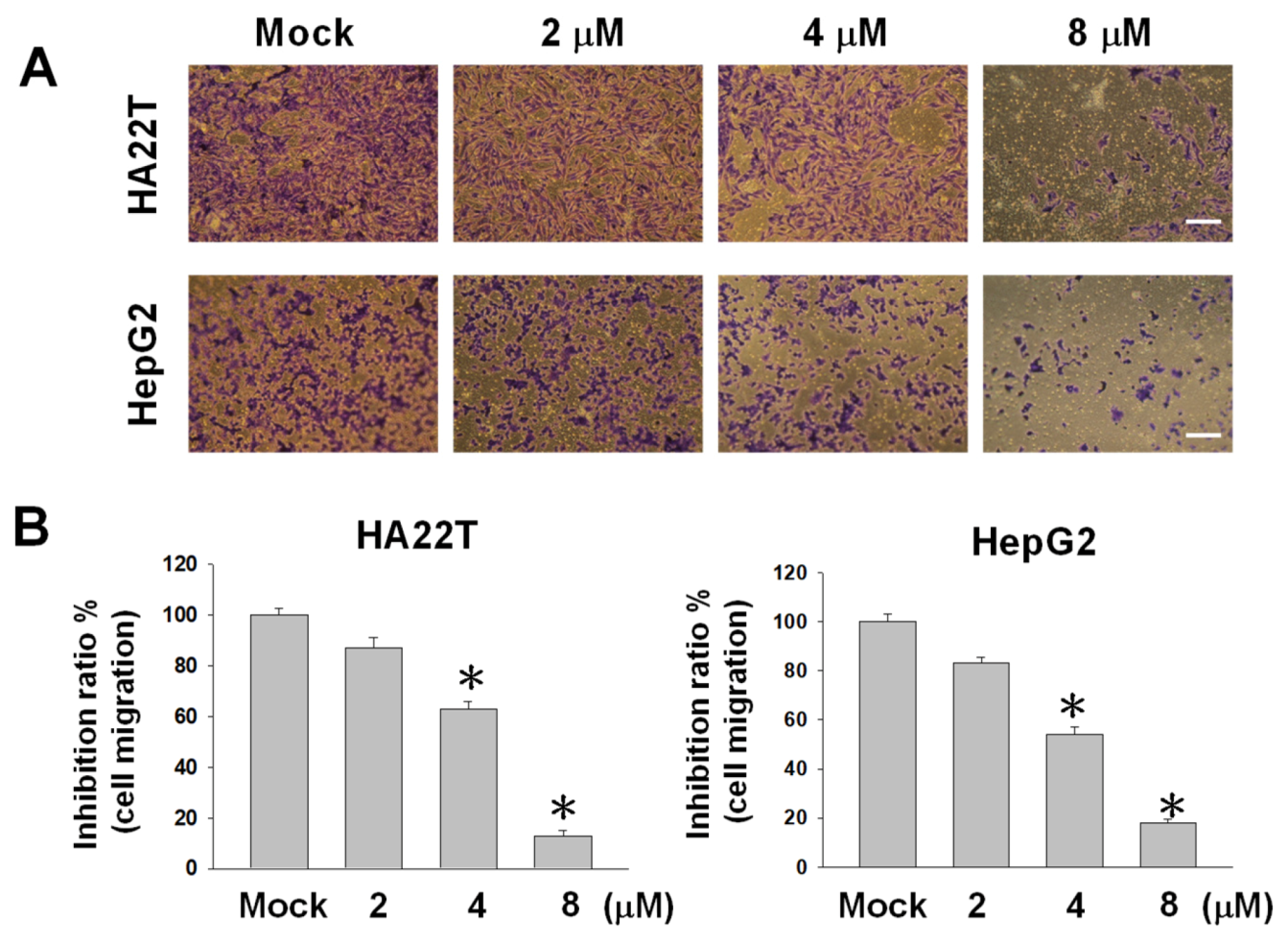Marinedrugs 18 00314 g002 Marinedrugs 18 00314 g002