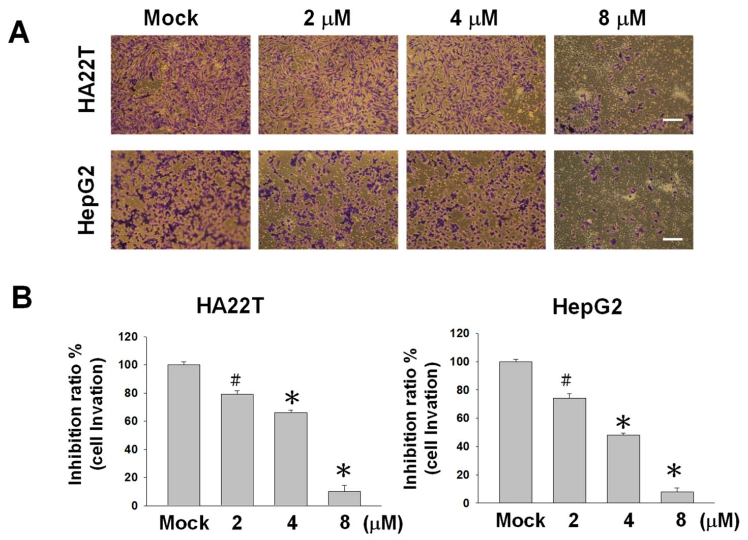 Marinedrugs 18 00314 g003 Marinedrugs 18 00314 g003