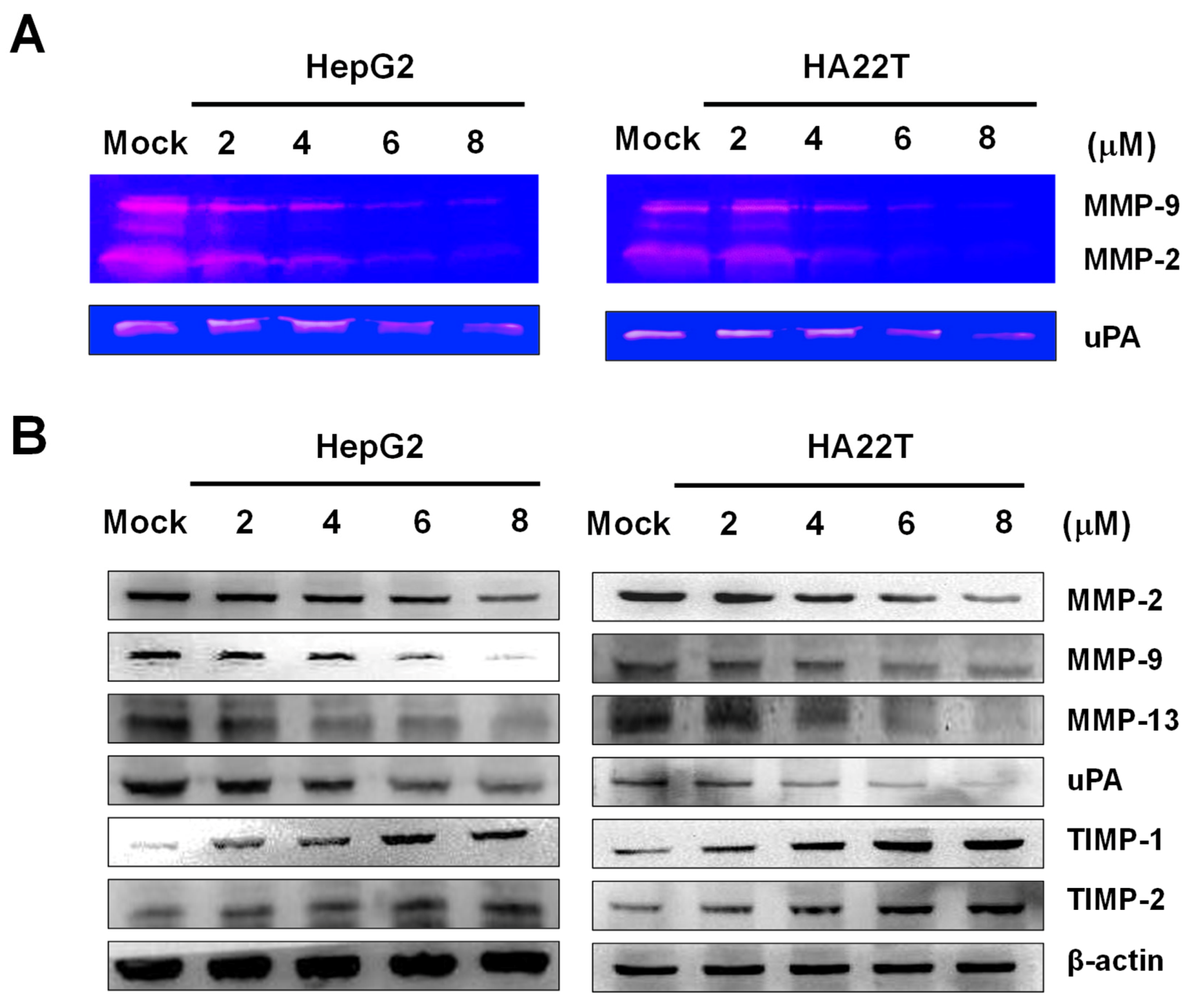 Marinedrugs 18 00314 g004 Marinedrugs 18 00314 g004