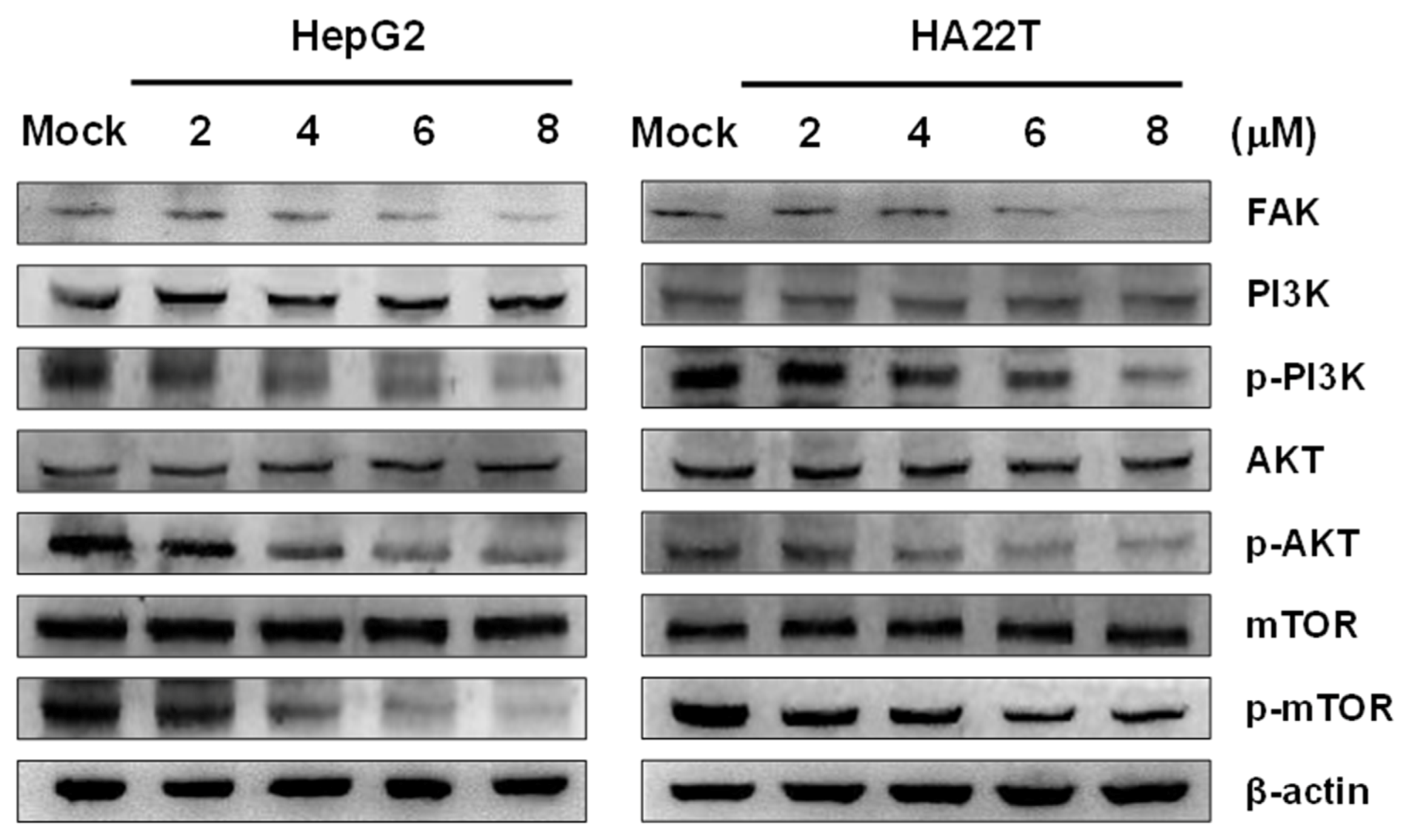 Marinedrugs 18 00314 g005 Marinedrugs 18 00314 g005