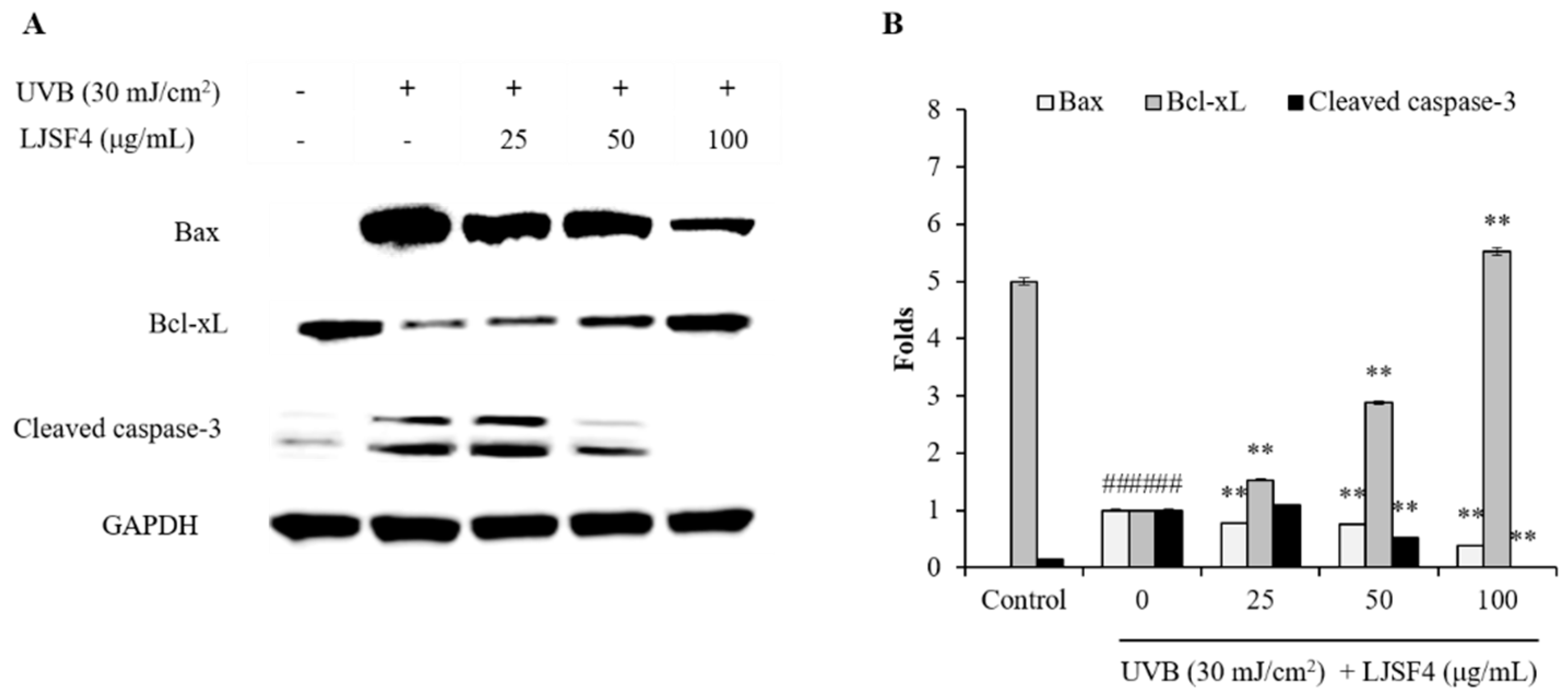 Marinedrugs 18 00316 g004 Marinedrugs 18 00316 g004