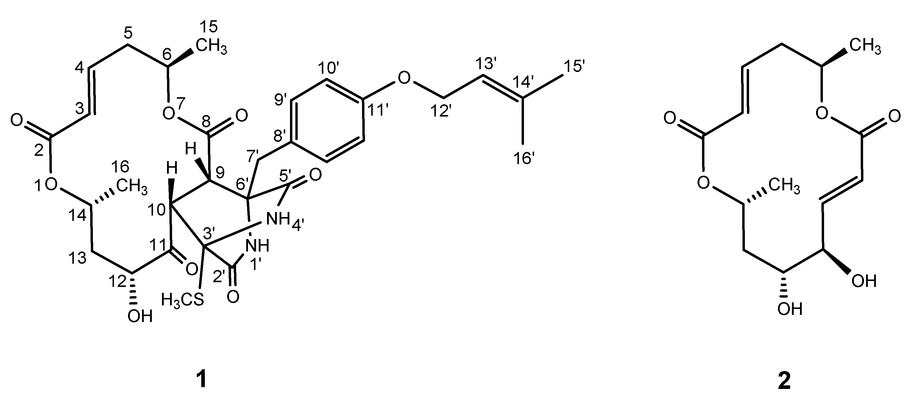 Marinedrugs 18 00320 g001 Marinedrugs 18 00320 g001