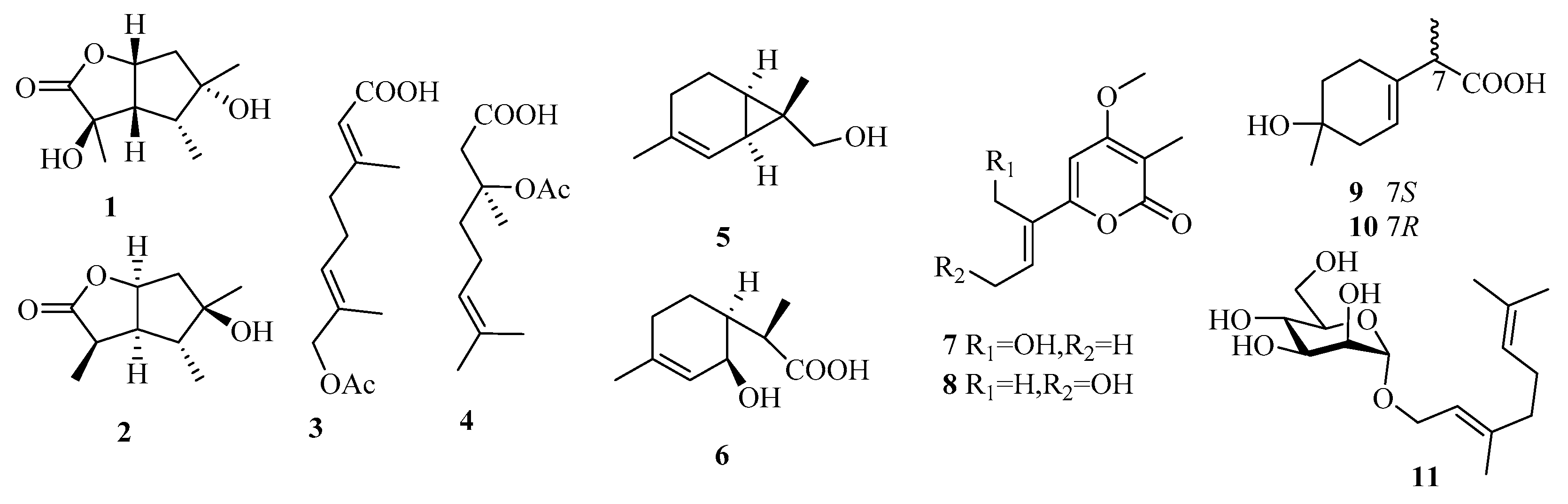 Marinedrugs 18 00321 g006 Marinedrugs 18 00321 g006
