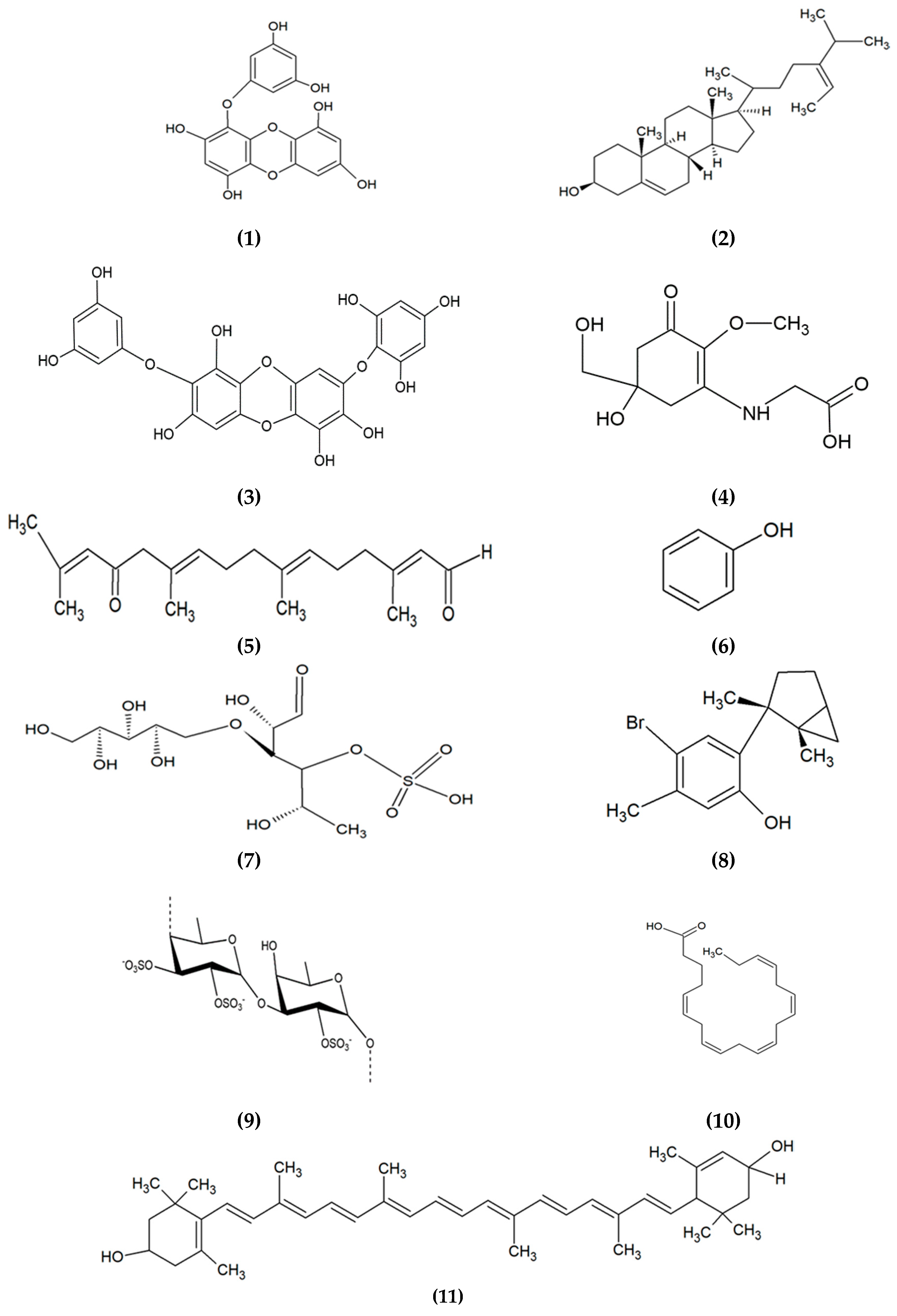 Marinedrugs 18 00323 g004a Marinedrugs 18 00323 g004a