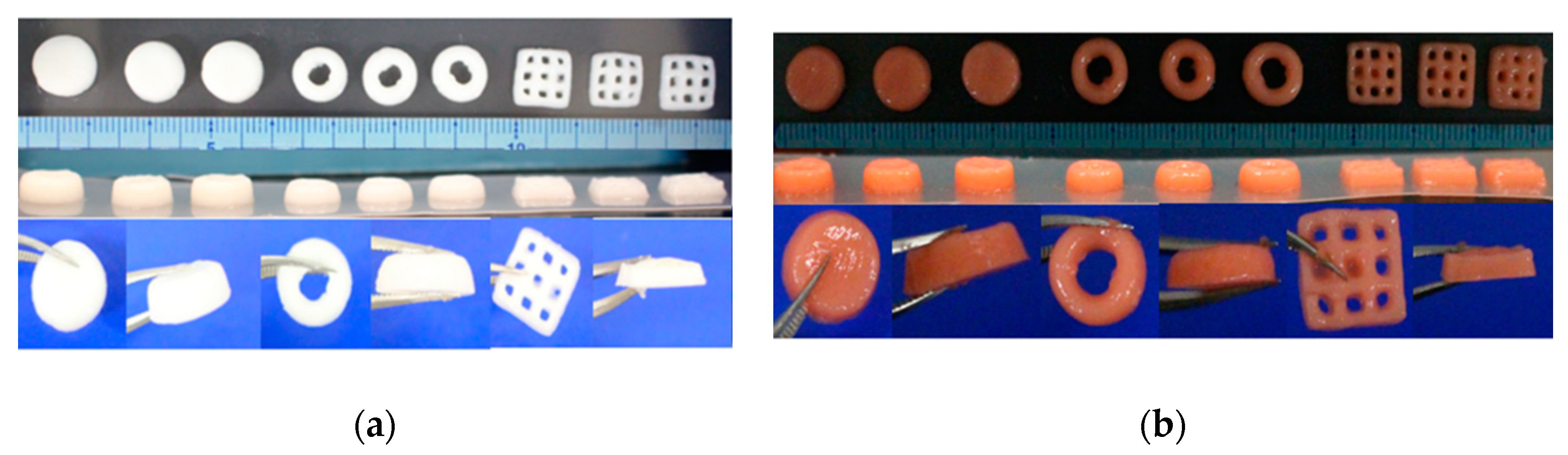 Marinedrugs 18 00325 g005 Marinedrugs 18 00325 g005