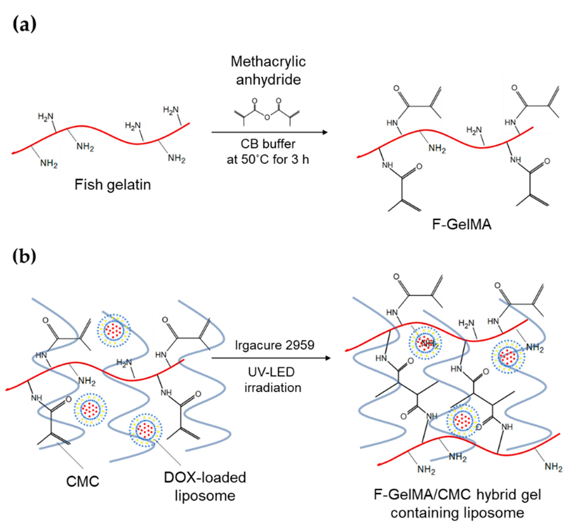 Marinedrugs 18 00325 sch001 Marinedrugs 18 00325 sch001