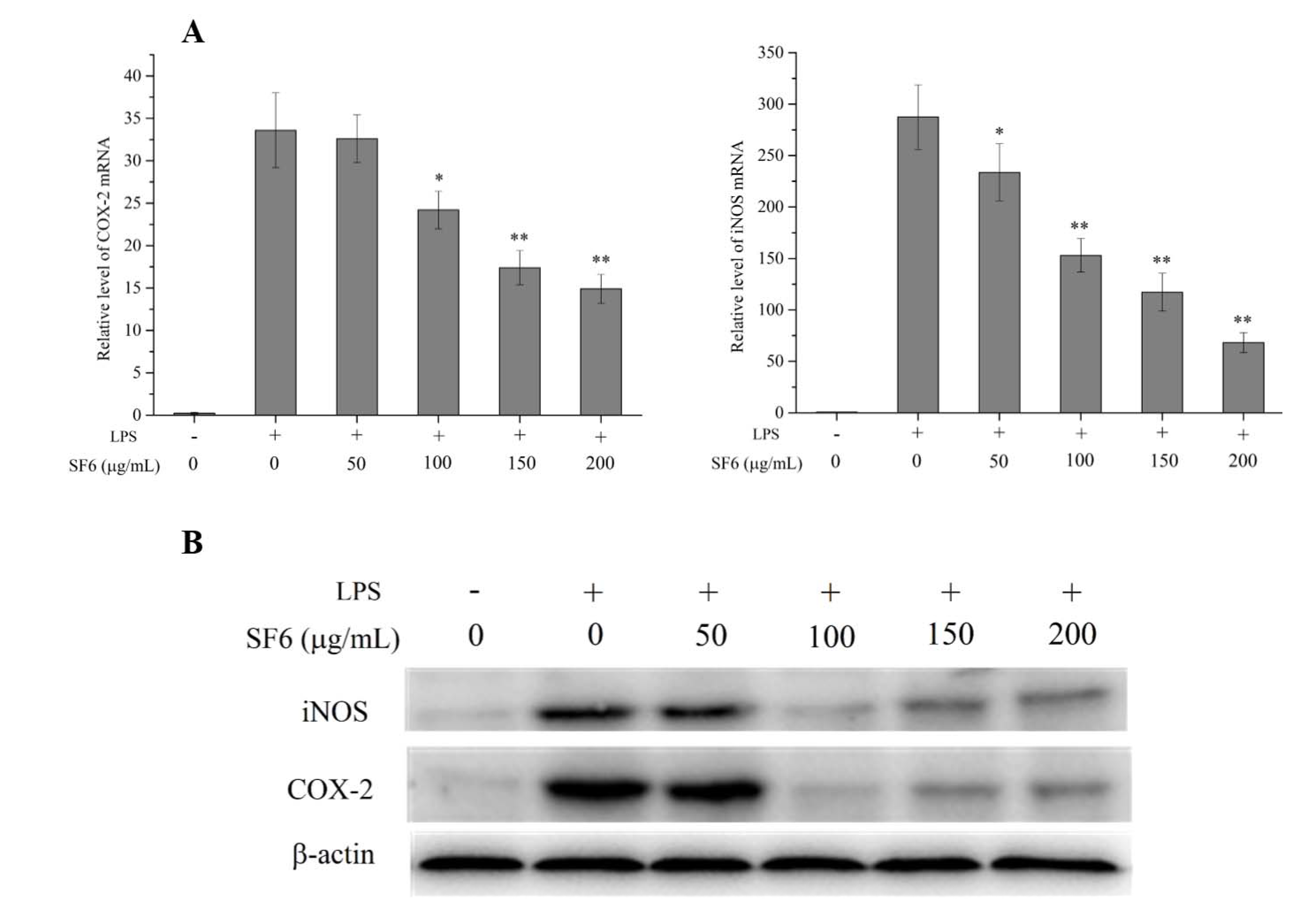 Marinedrugs 18 00328 g005 Marinedrugs 18 00328 g005