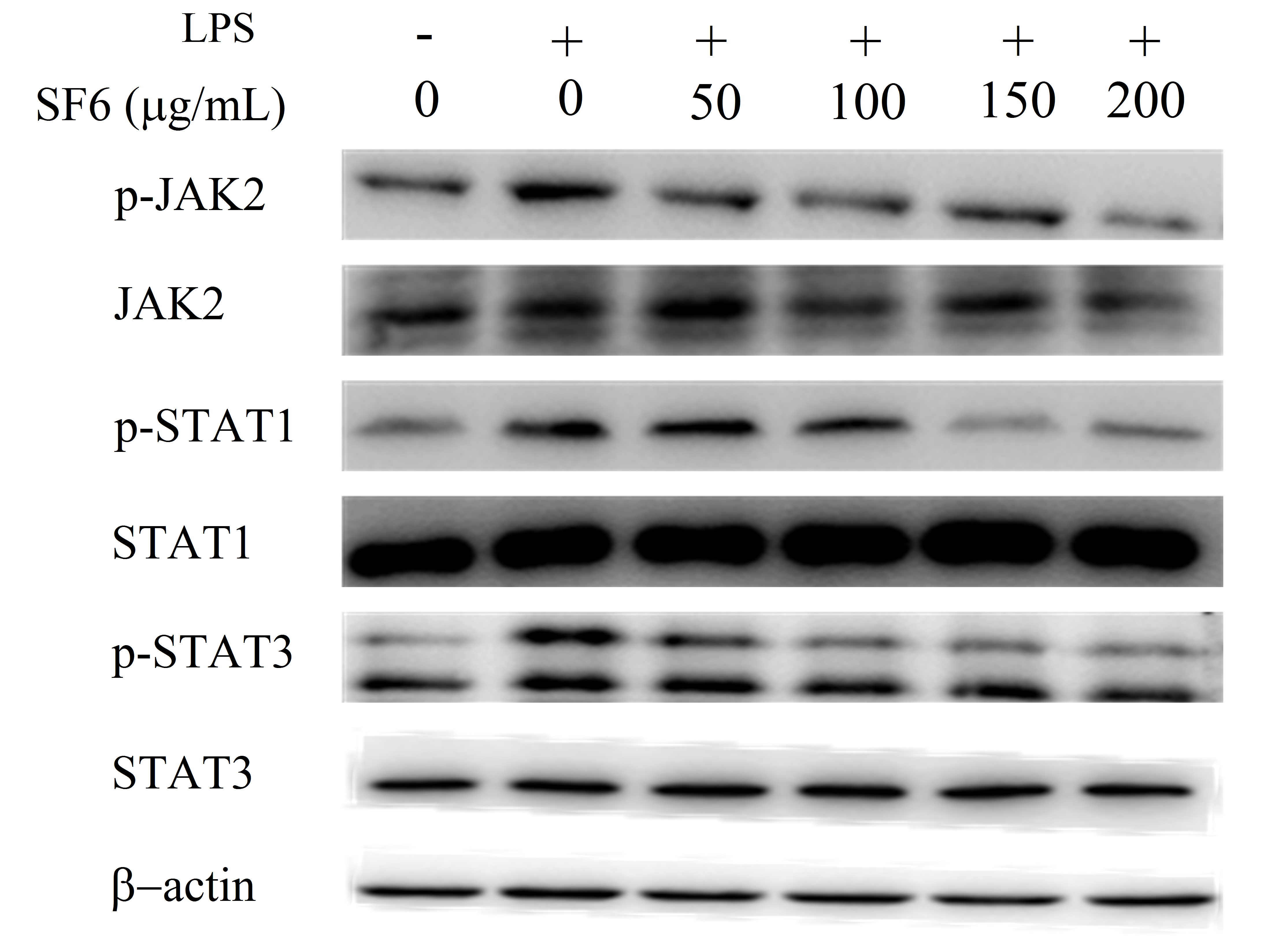 Marinedrugs 18 00328 g009 Marinedrugs 18 00328 g009