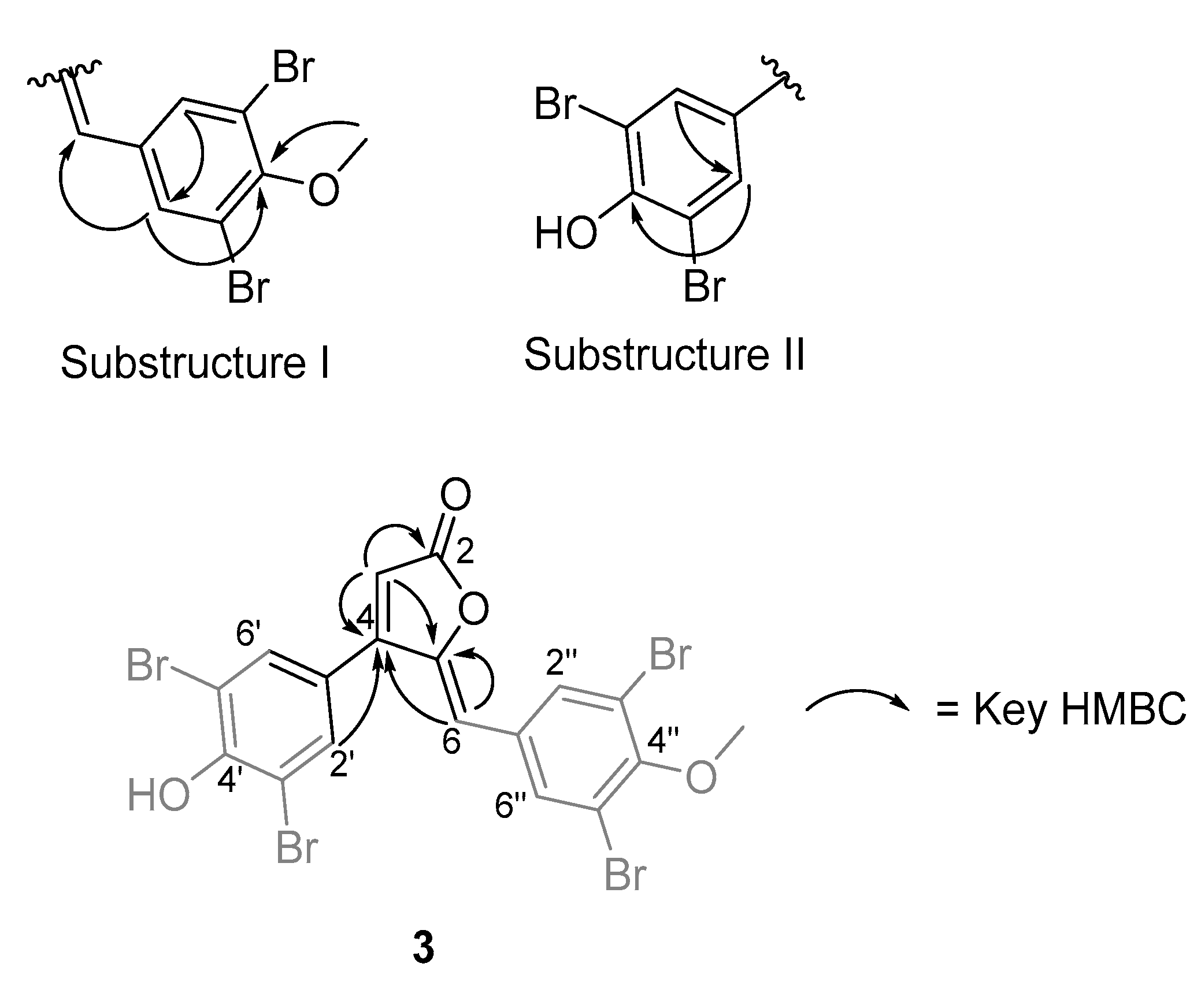 Marinedrugs 18 00337 g003 Marinedrugs 18 00337 g003