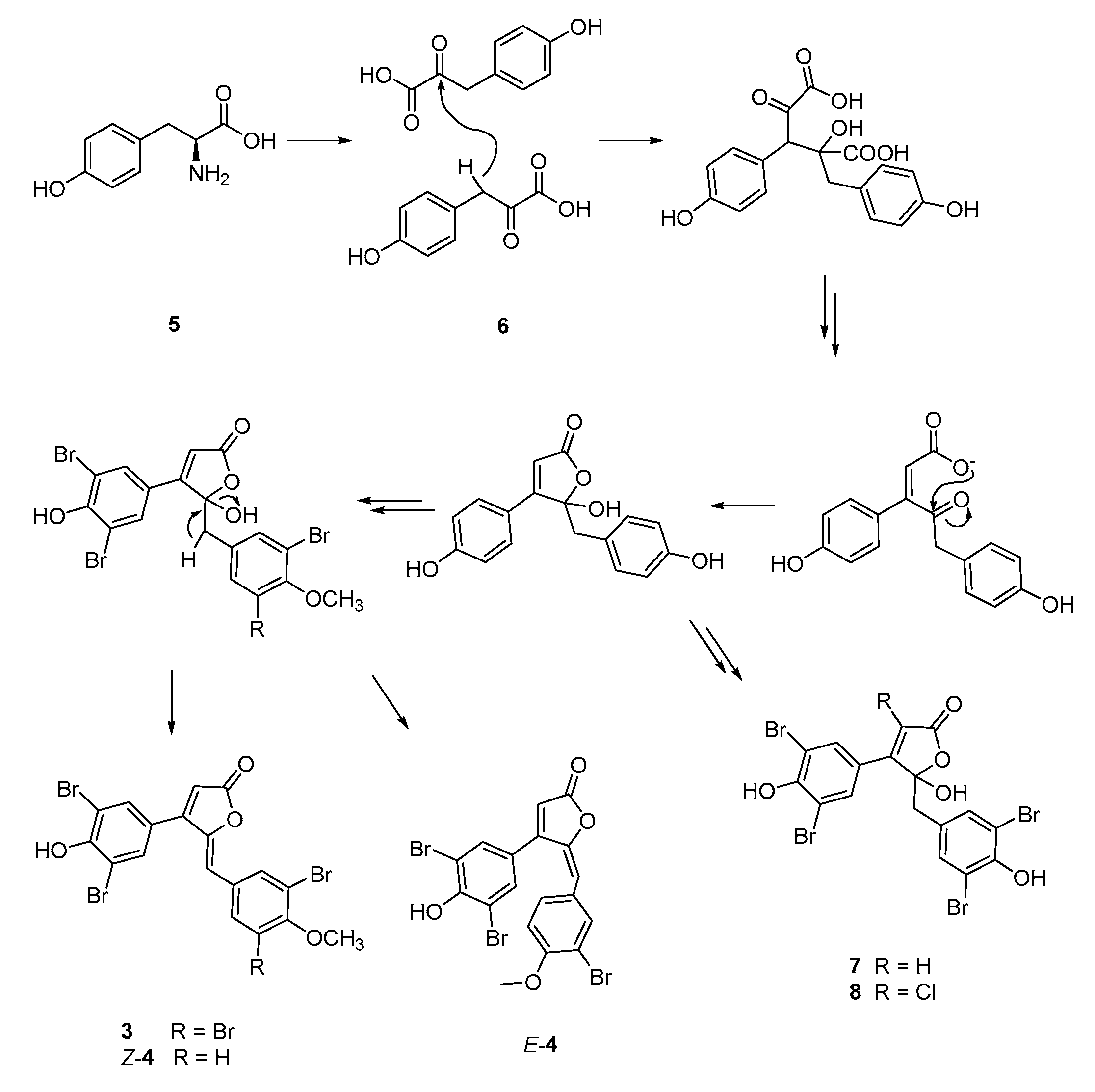Marinedrugs 18 00337 sch002 Marinedrugs 18 00337 sch002