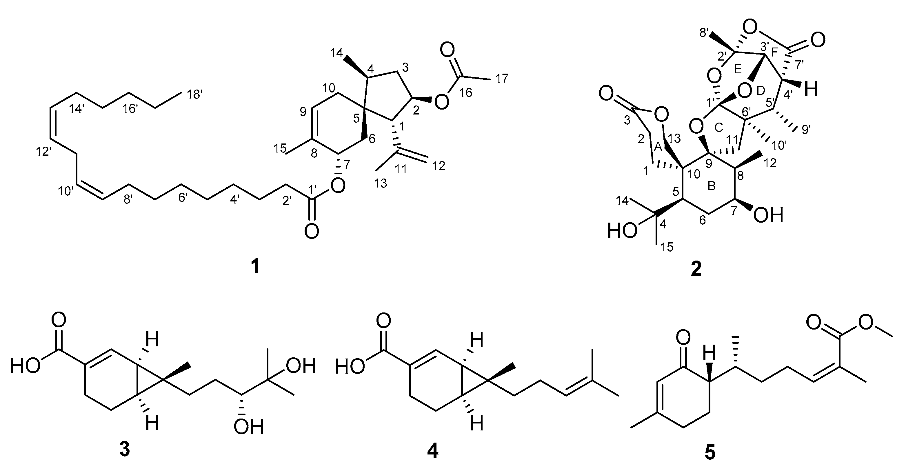 Marinedrugs 18 00339 g001 Marinedrugs 18 00339 g001