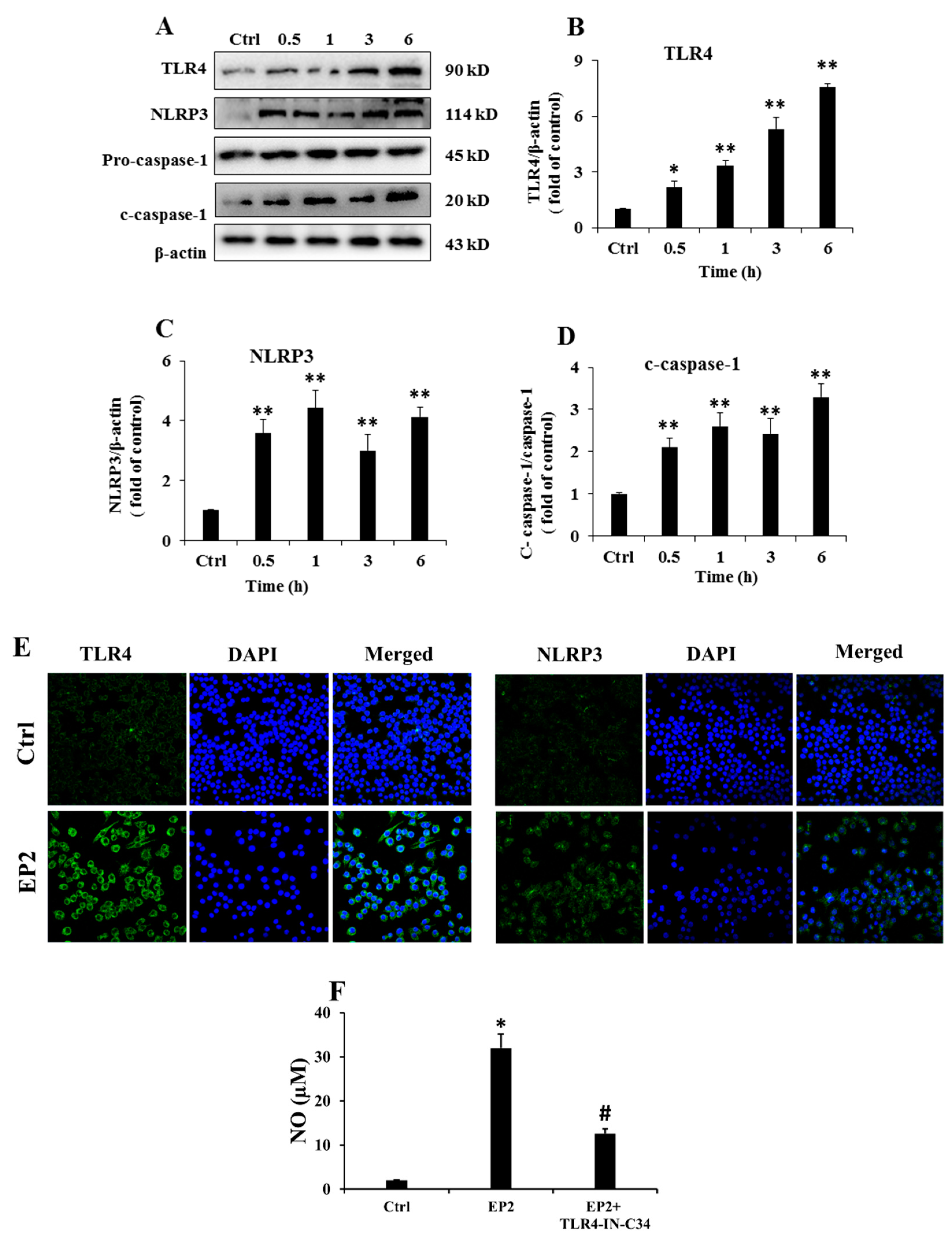 Marinedrugs 18 00340 g003 Marinedrugs 18 00340 g003