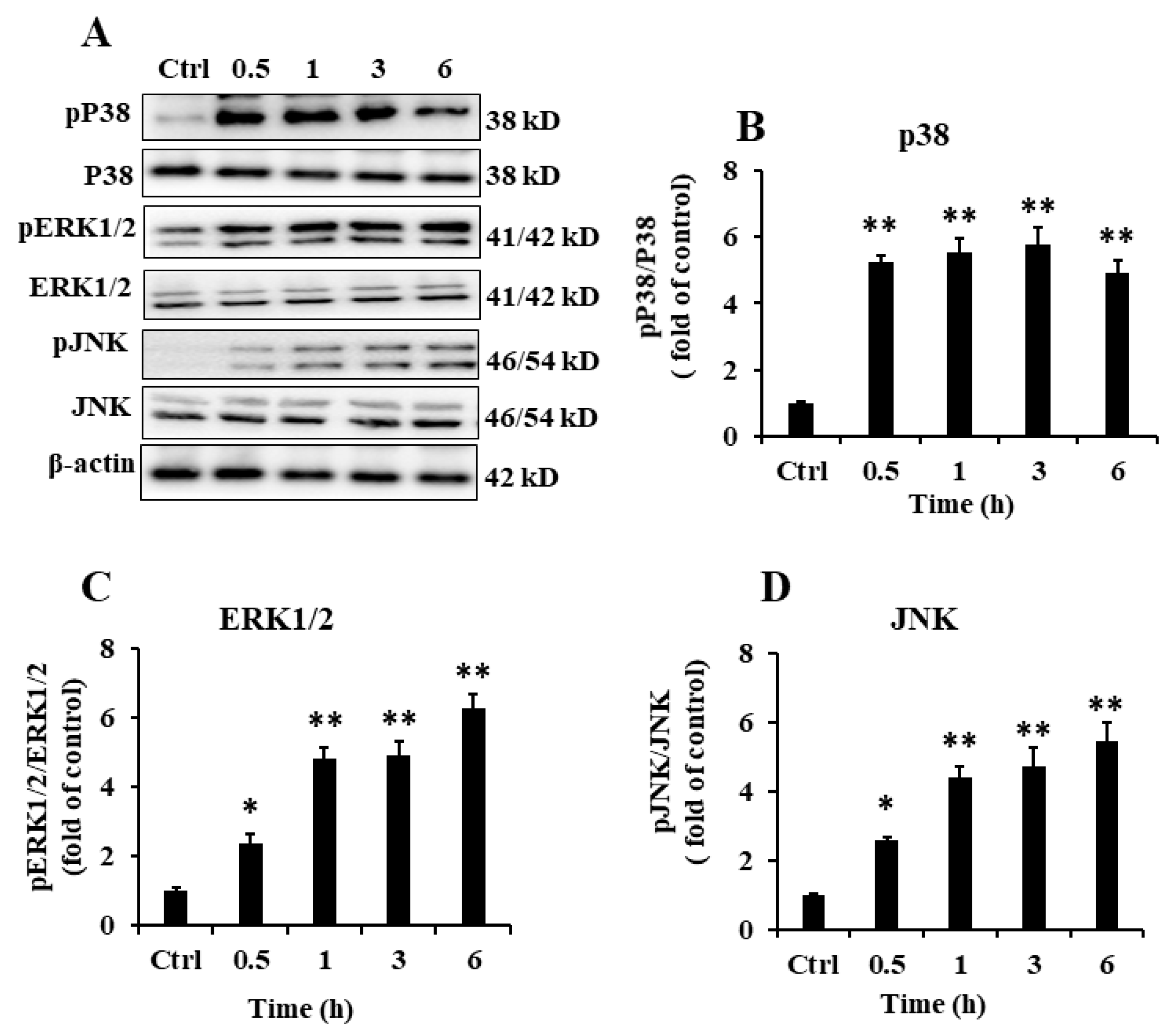 Marinedrugs 18 00340 g004 Marinedrugs 18 00340 g004
